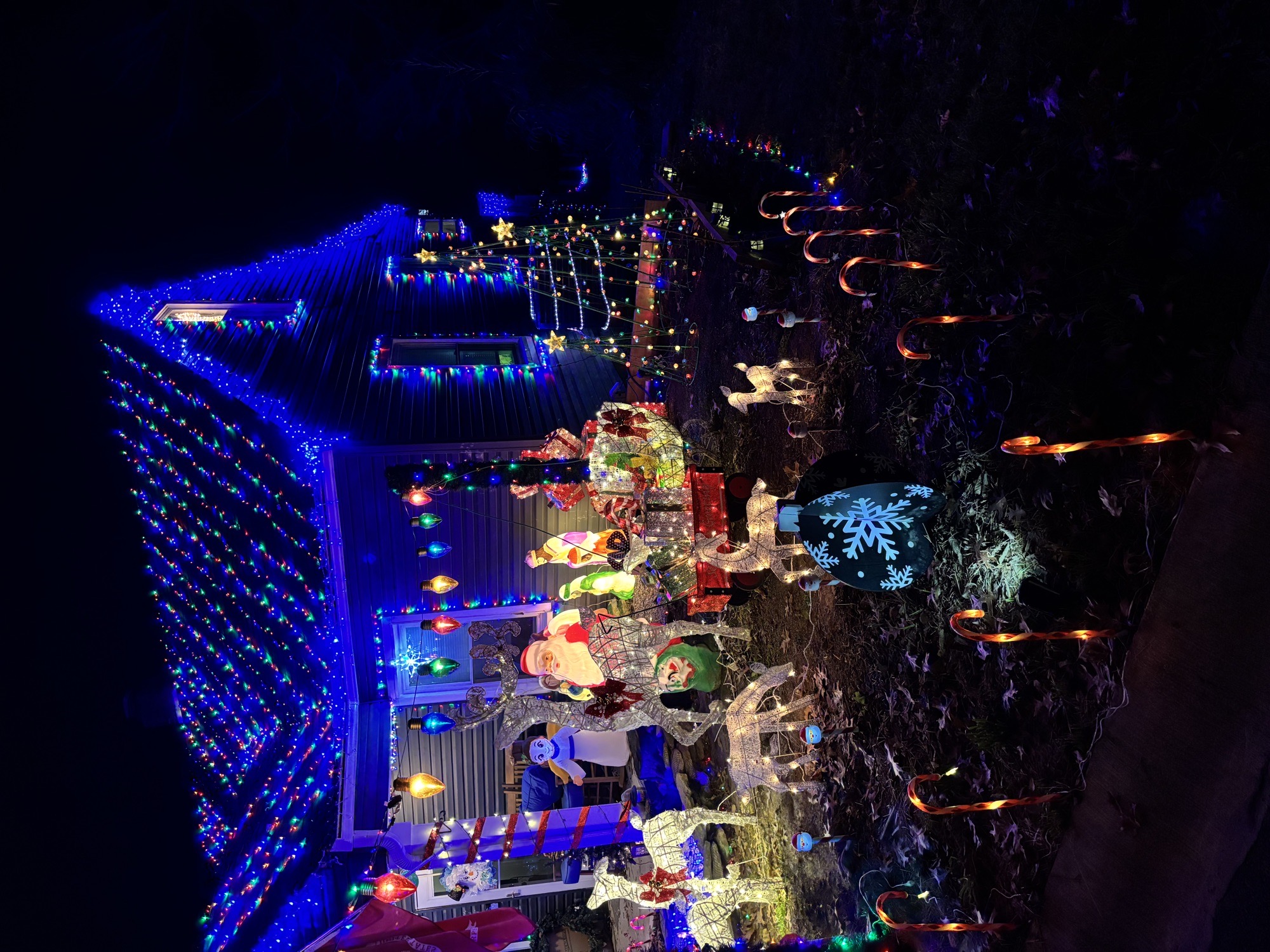 Christmas Overloaded, Christmas lights in Elsmere, KY (photo 5)