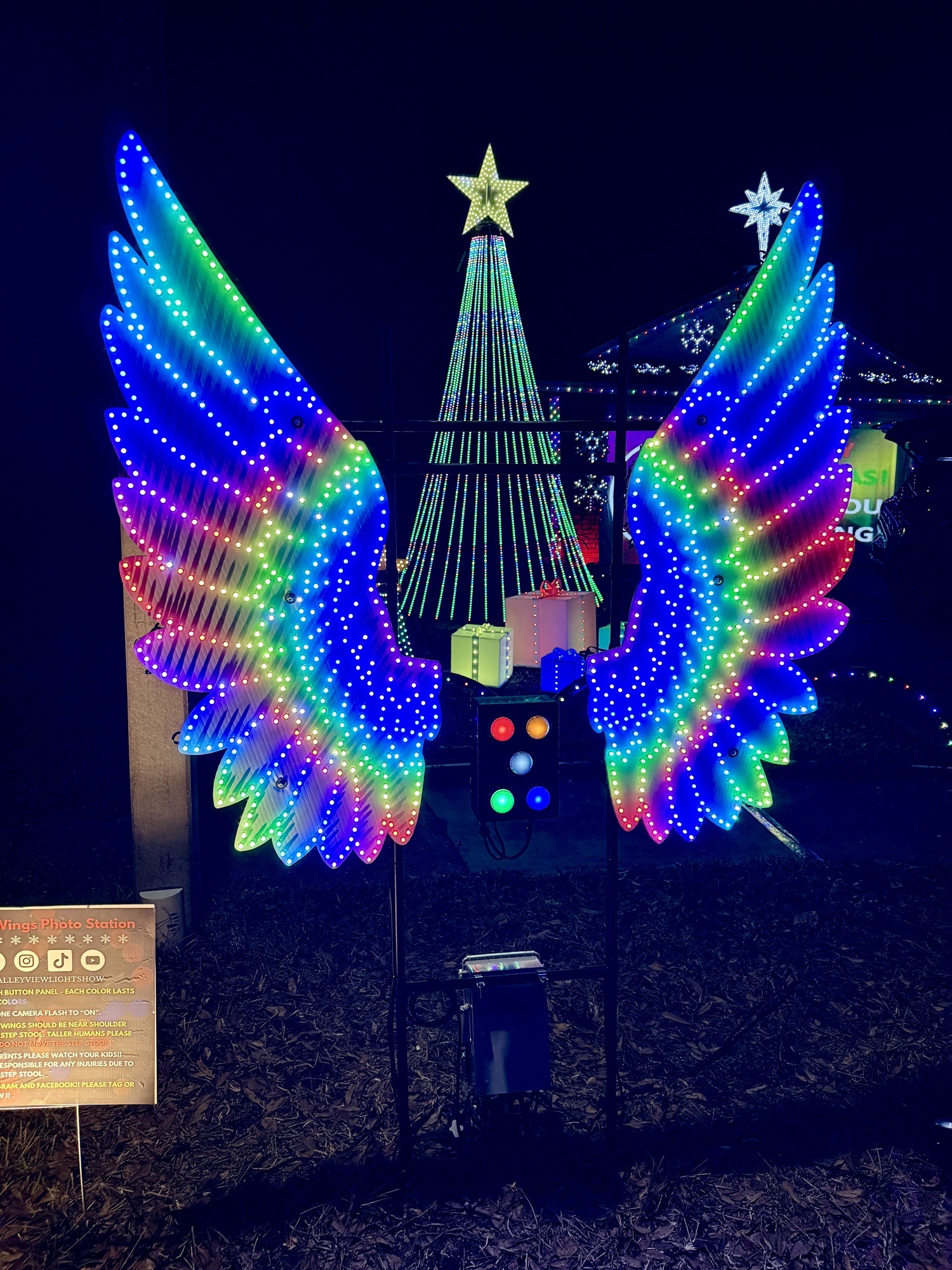 Valley View Light Show, Christmas lights in Palm Harbor, FL (photo 4)