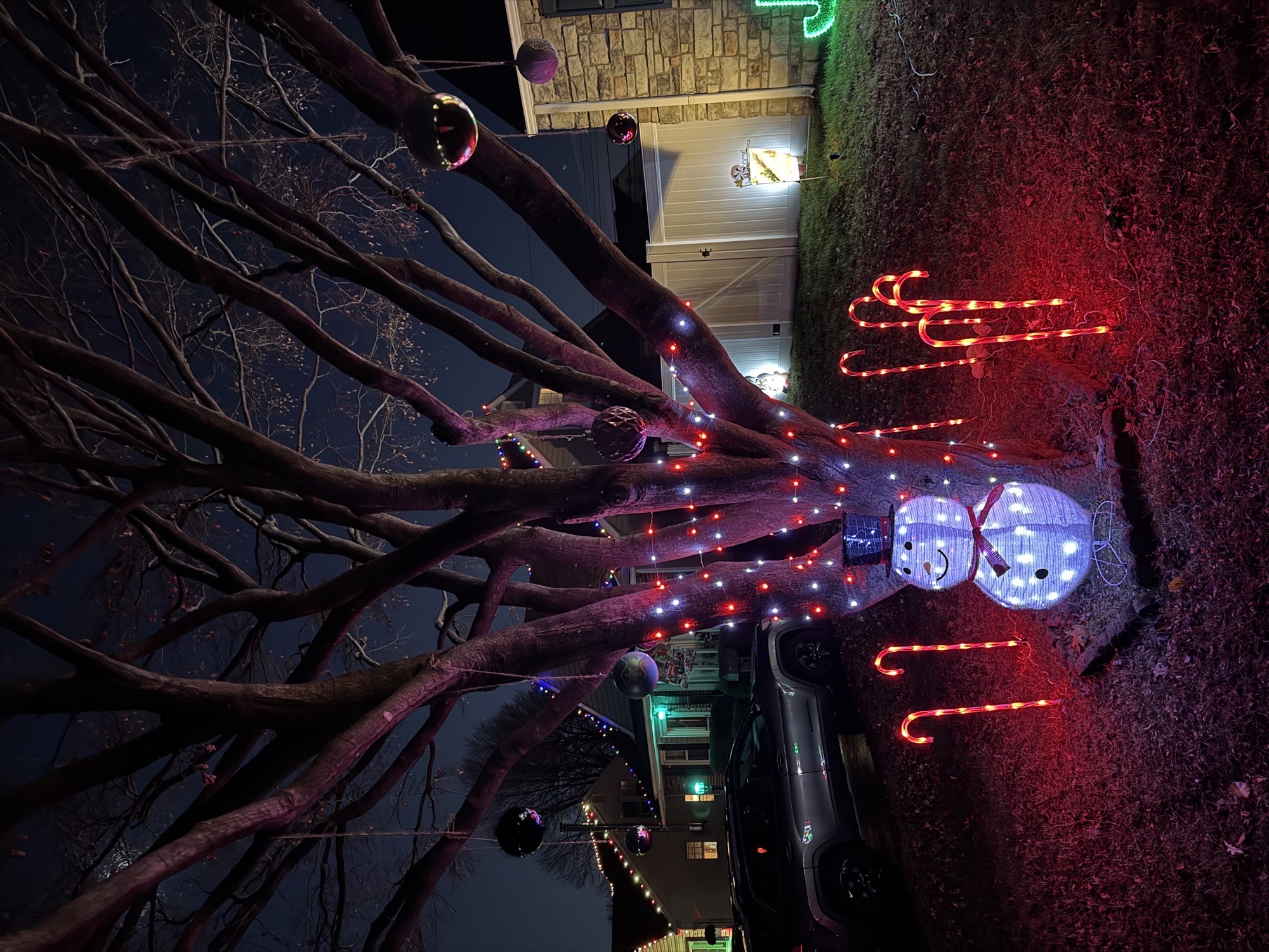 Christmas Joy on Washington, Christmas lights in Brookhaven, PA (photo 3)
