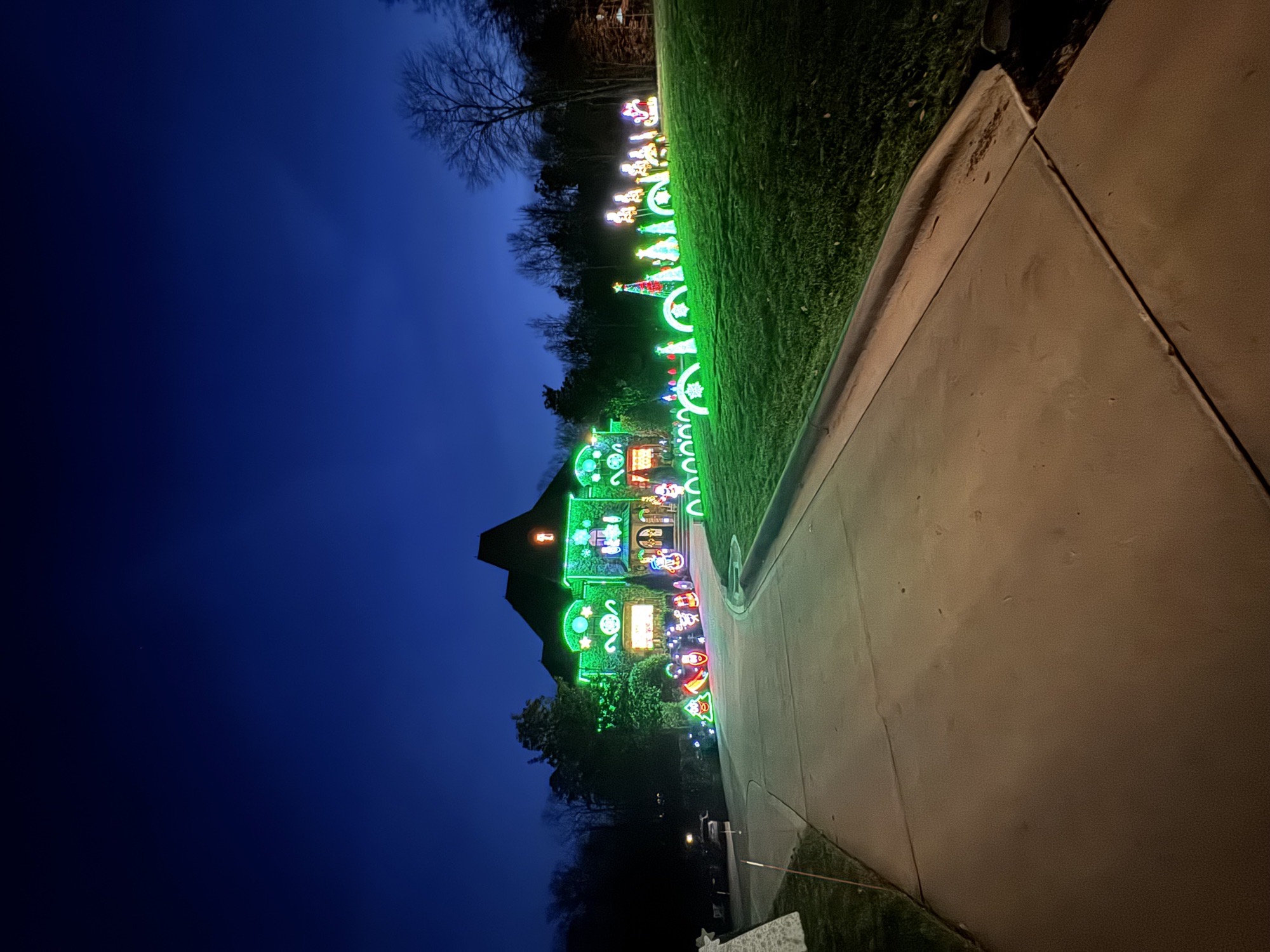 High Flying Lights, Christmas lights in Weddington, NC (photo 1)