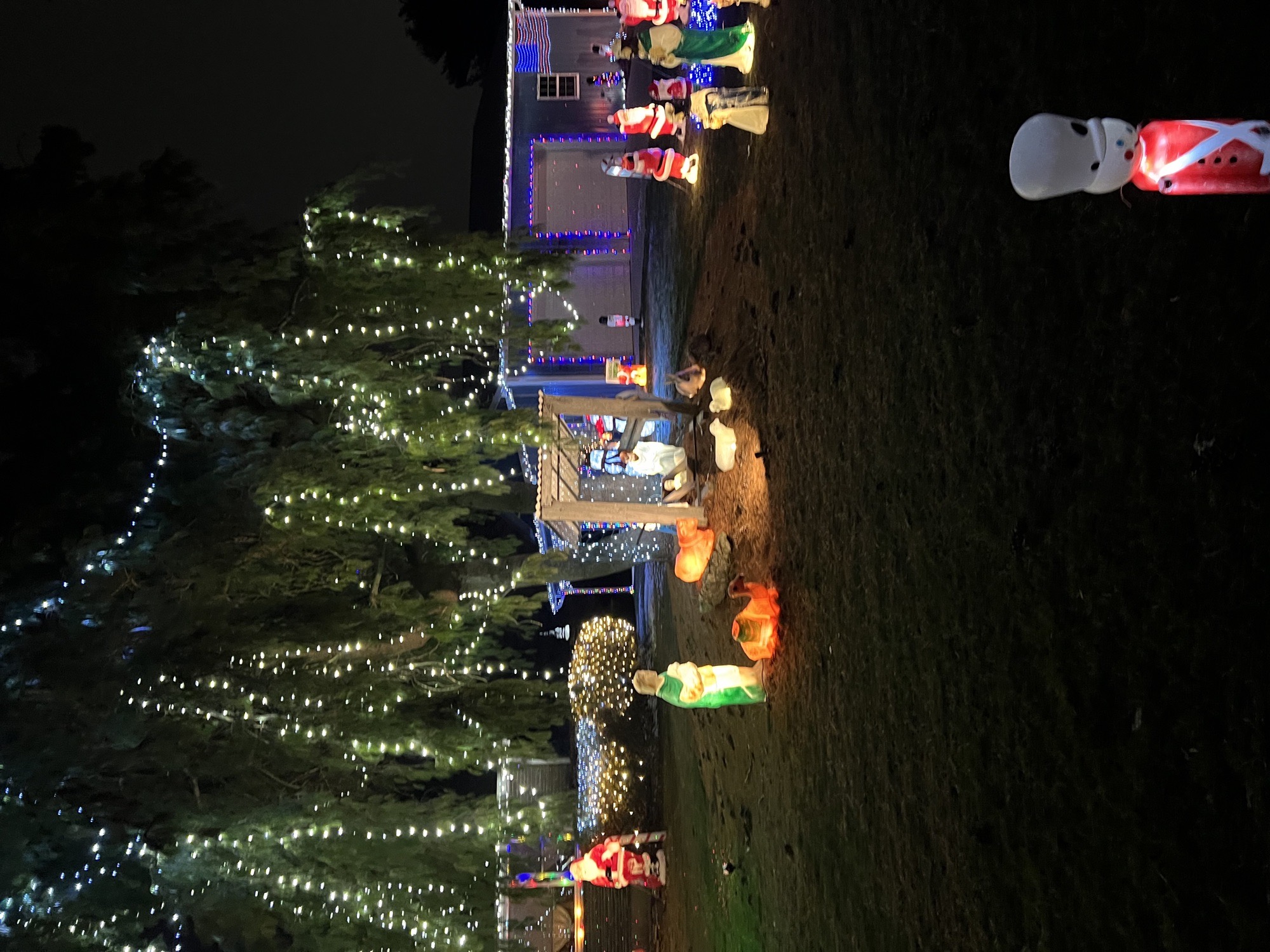 Griswold On Church Rd, Christmas lights in Bethlehem, PA (photo 5)