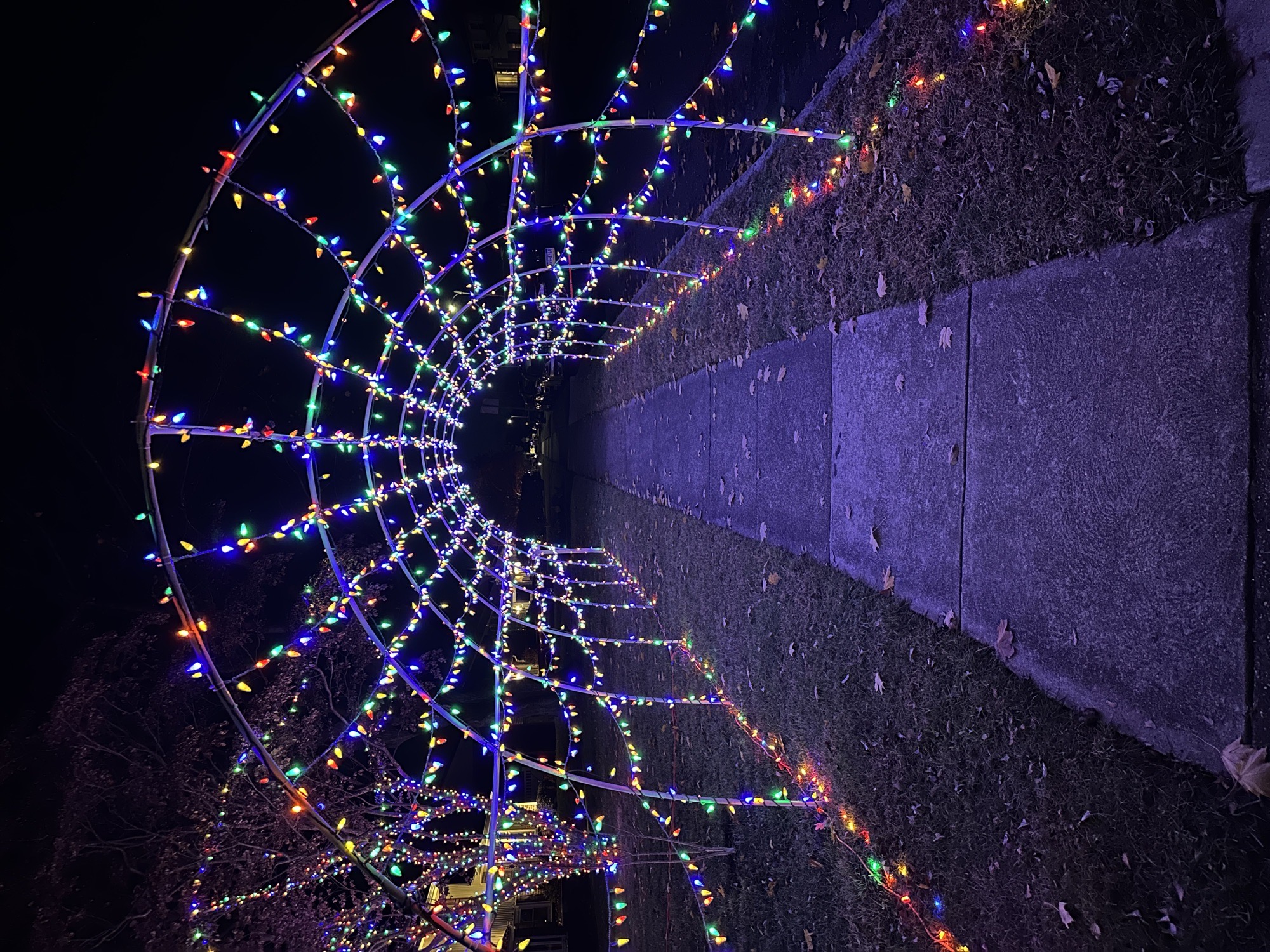 Christmas On Kennerly, Christmas lights in Springfield, PA (photo 2)
