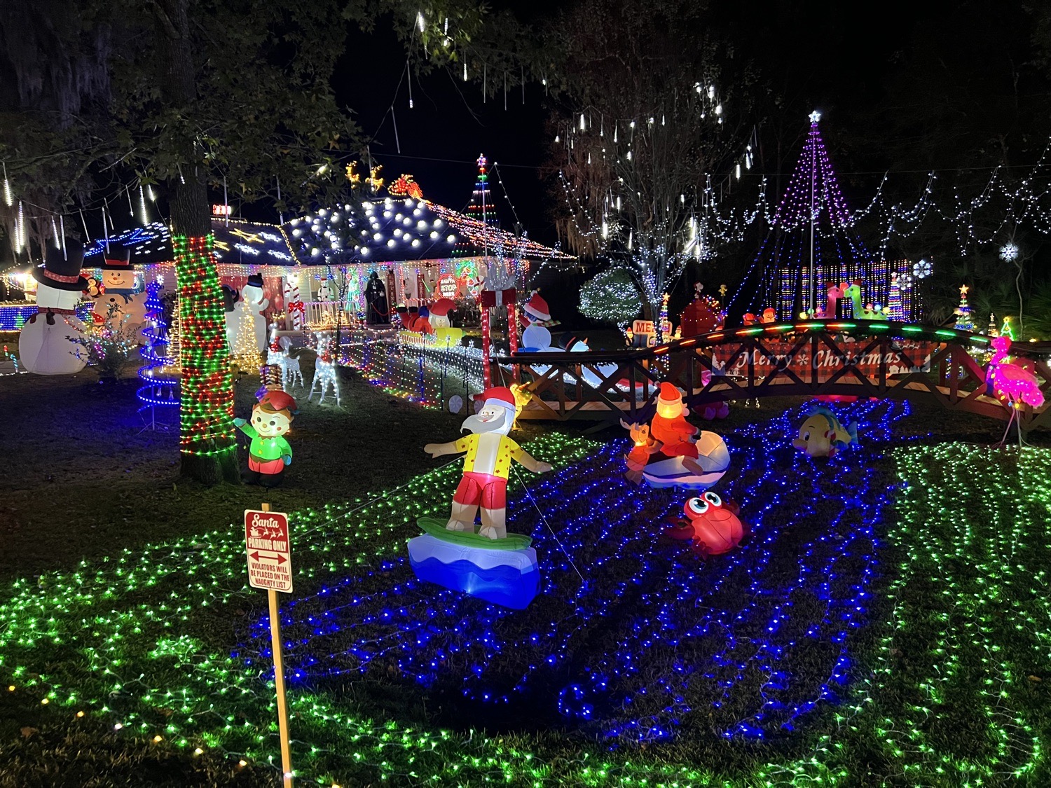 Lights on Delcie, Christmas lights in Saint Augustine, FL (photo 2)