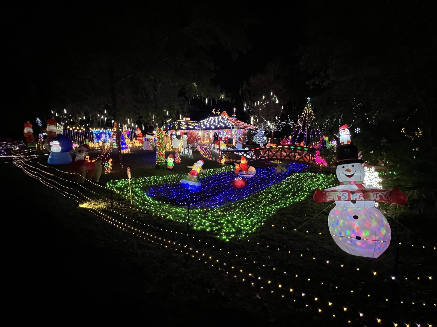 Lights on Delcie, Christmas lights in Saint Augustine, FL (photo 3)