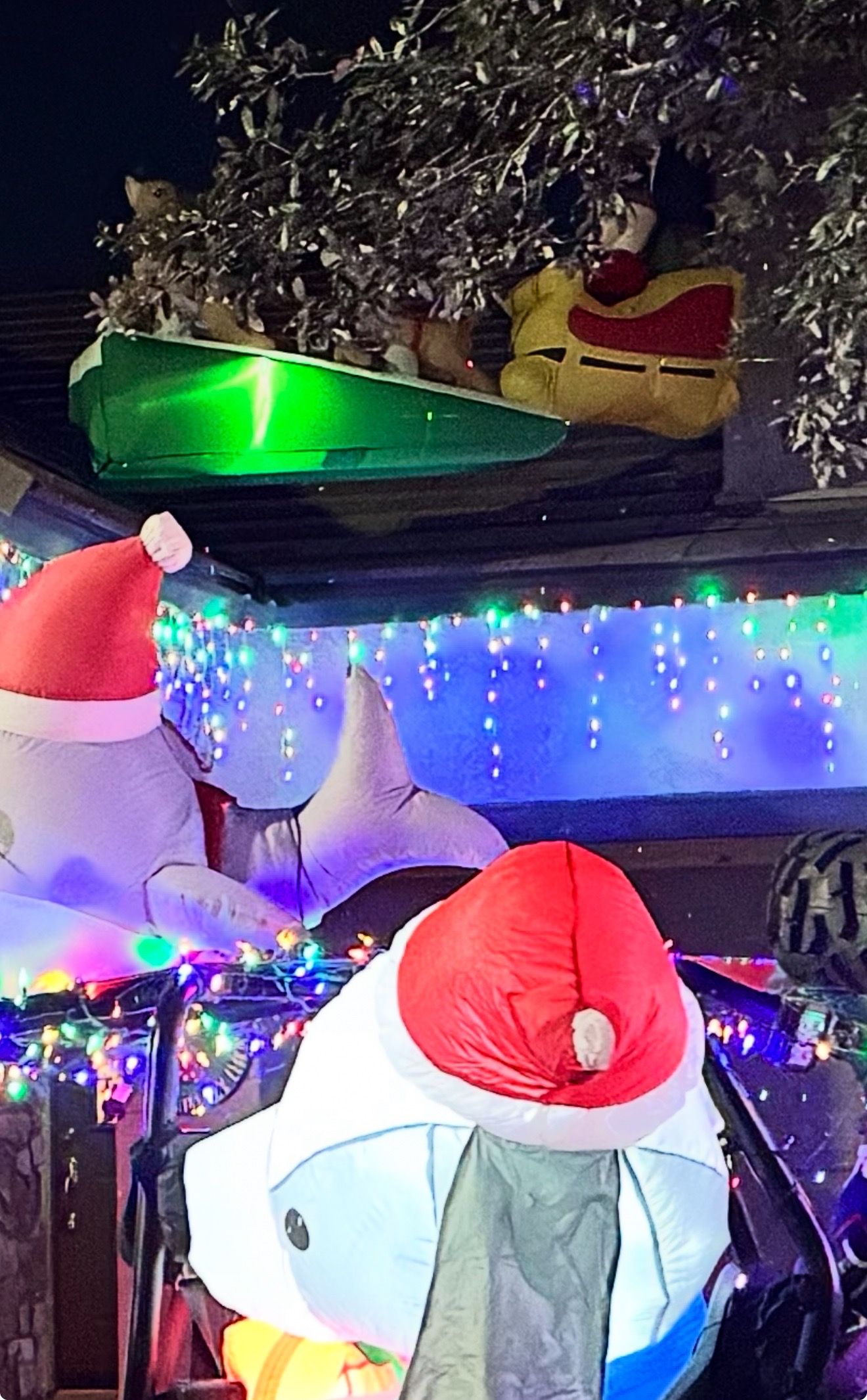 Character’s on Benton, Christmas lights in Mesa, AZ (photo 3)