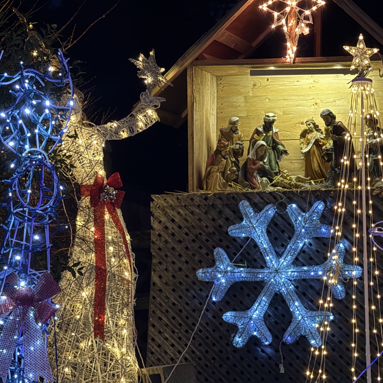 2025 Christmas, Christmas lights in Erdenheim, PA (photo 2)