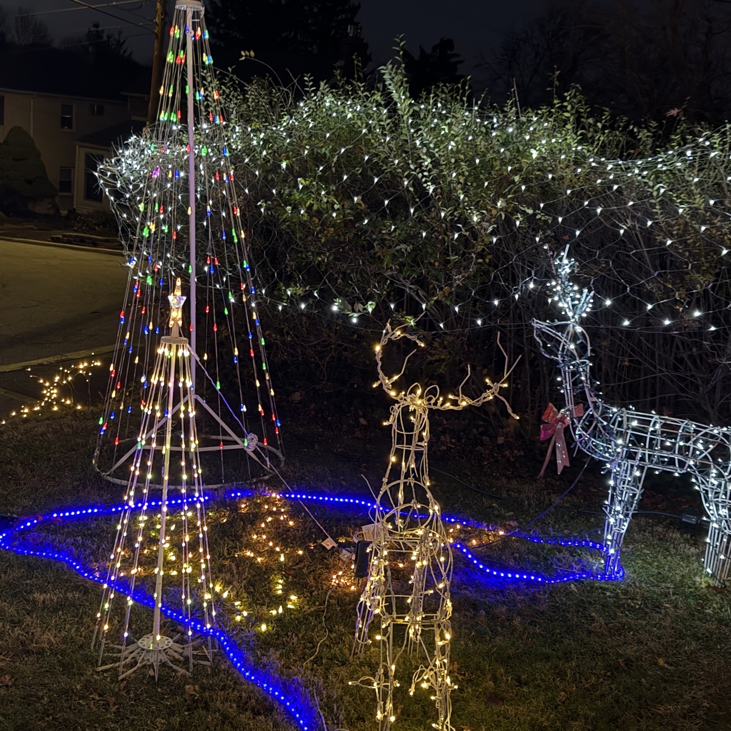 2025 Christmas, Christmas lights in Erdenheim, PA (photo 5)