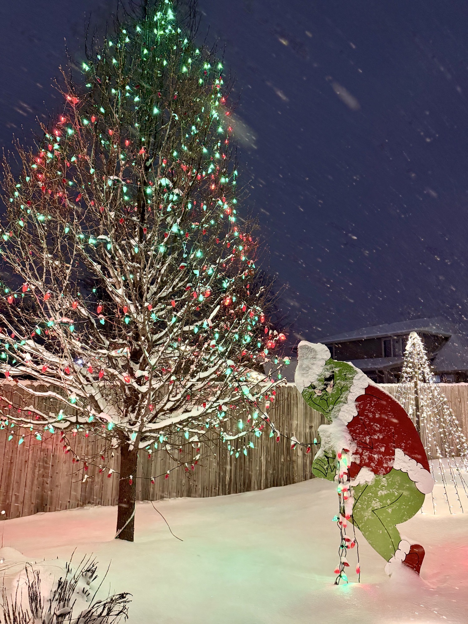 Ashworth Holiday Forest, Christmas lights in West Des Moines, IA (photo 2)