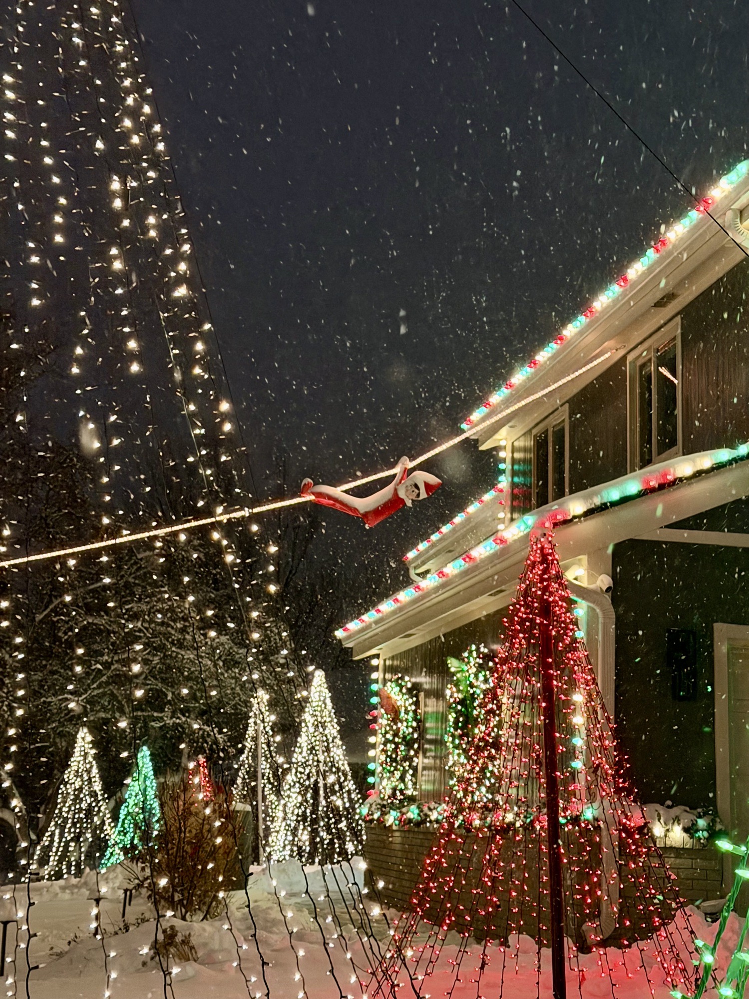 Ashworth Holiday Forest, Christmas lights in West Des Moines, IA (photo 3)