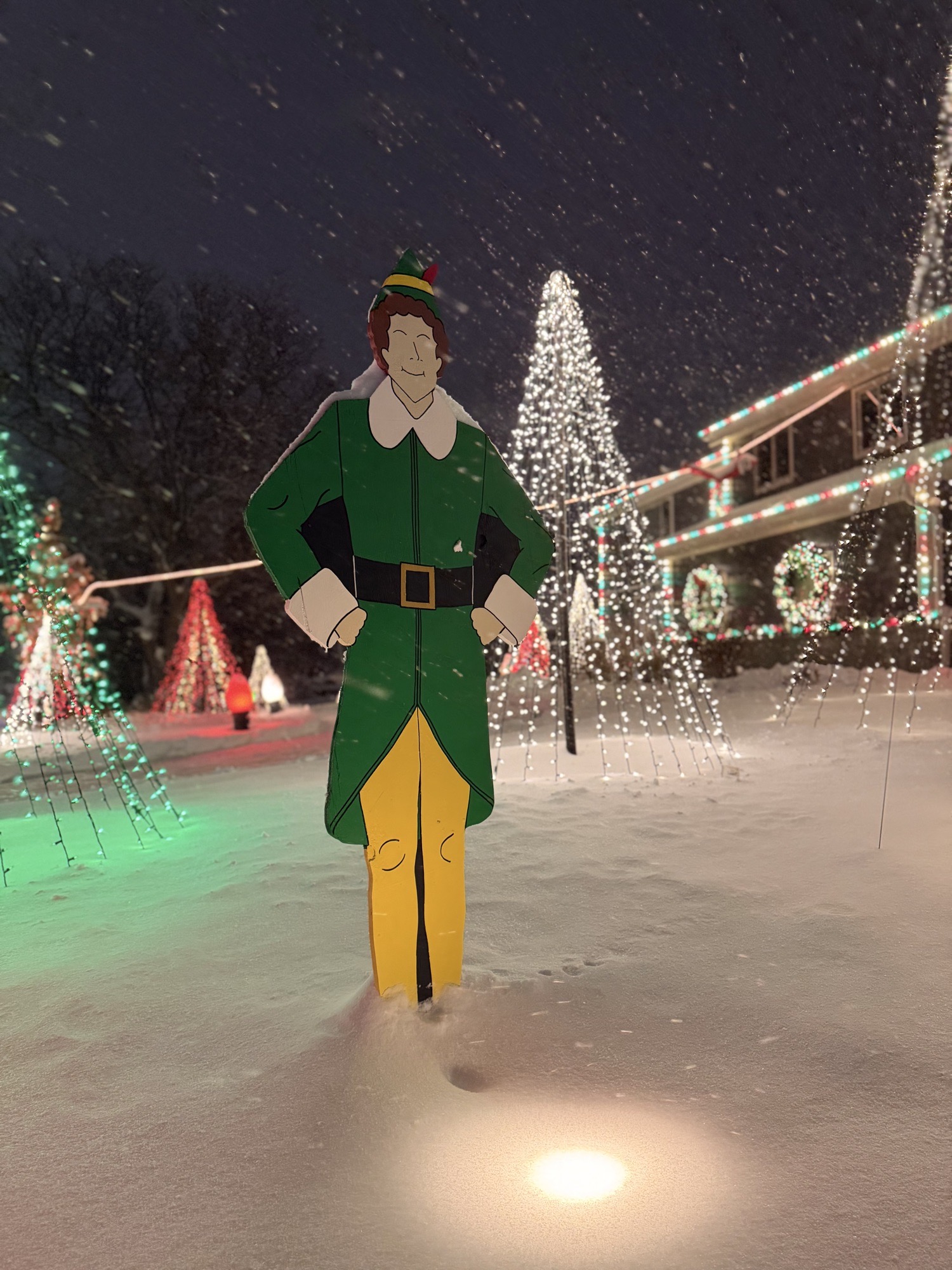 Ashworth Holiday Forest, Christmas lights in West Des Moines, IA (photo 5)