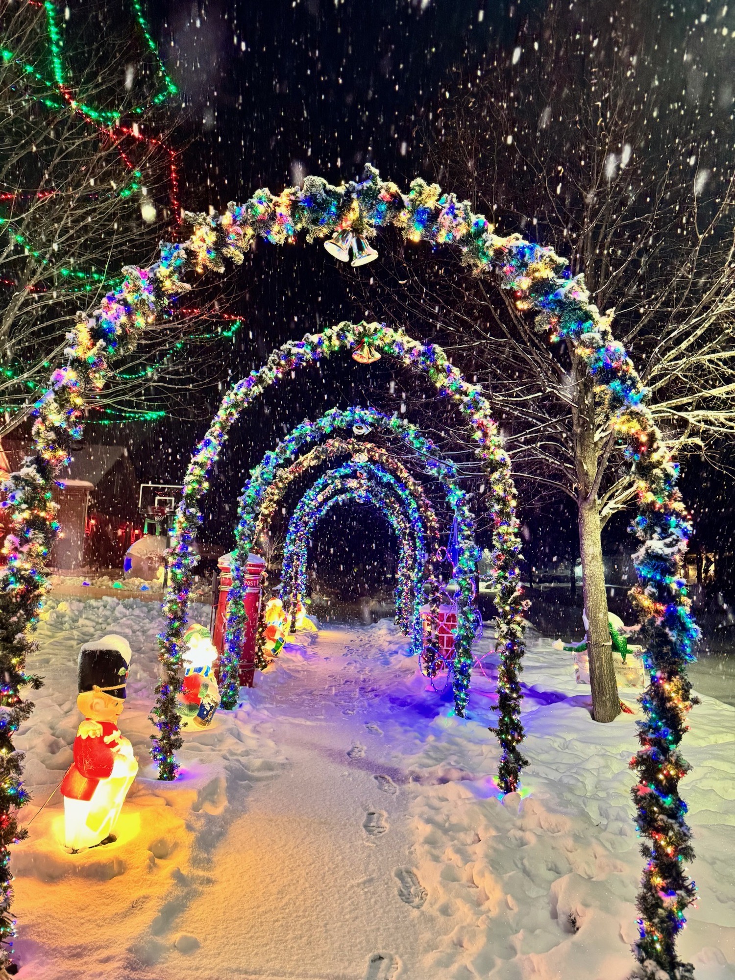 Lights of Lancaster Falls - Volo, IL, Christmas lights in Volo, IL (photo 2)