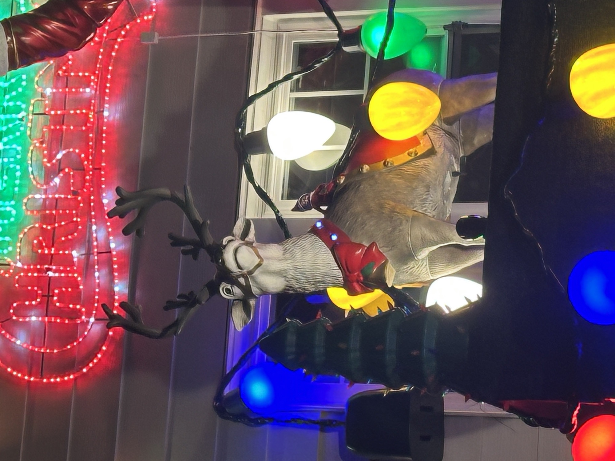 Santa Has Landed!!, Christmas lights in Richmond Hill, NY (photo 4)
