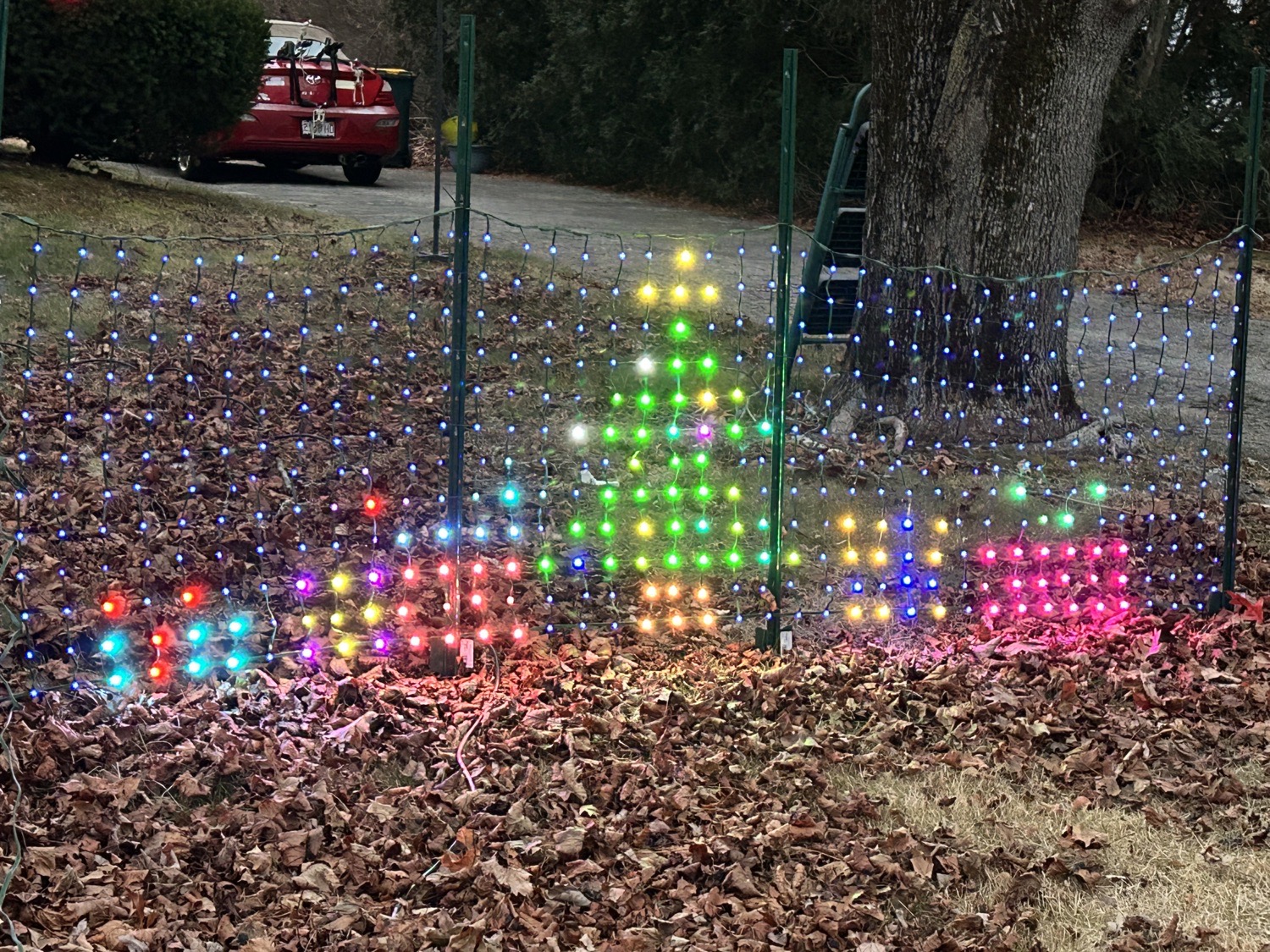 Skelly Bones Christmas, Christmas lights in Abington, MA (photo 2)