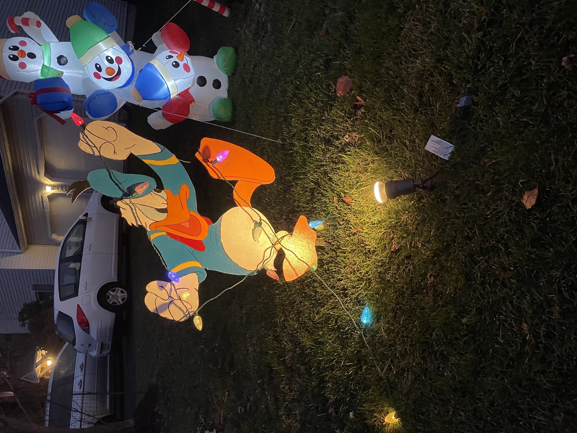Tyler Walk Light Show, Christmas lights in Newtown, PA (photo 5)