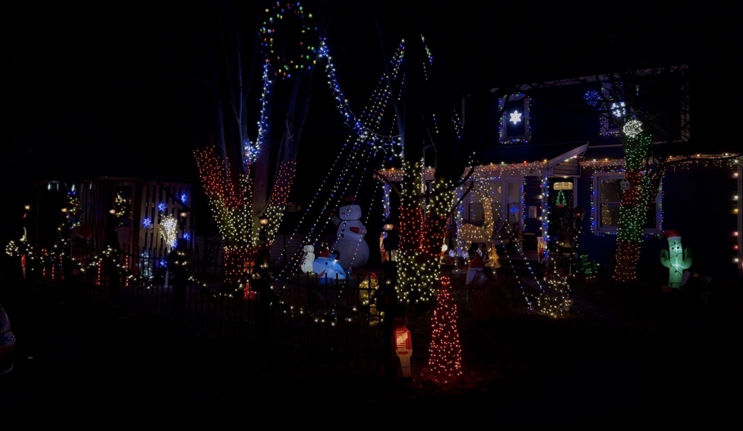 Light Up The Night, Christmas lights in Abington, PA (photo 1)