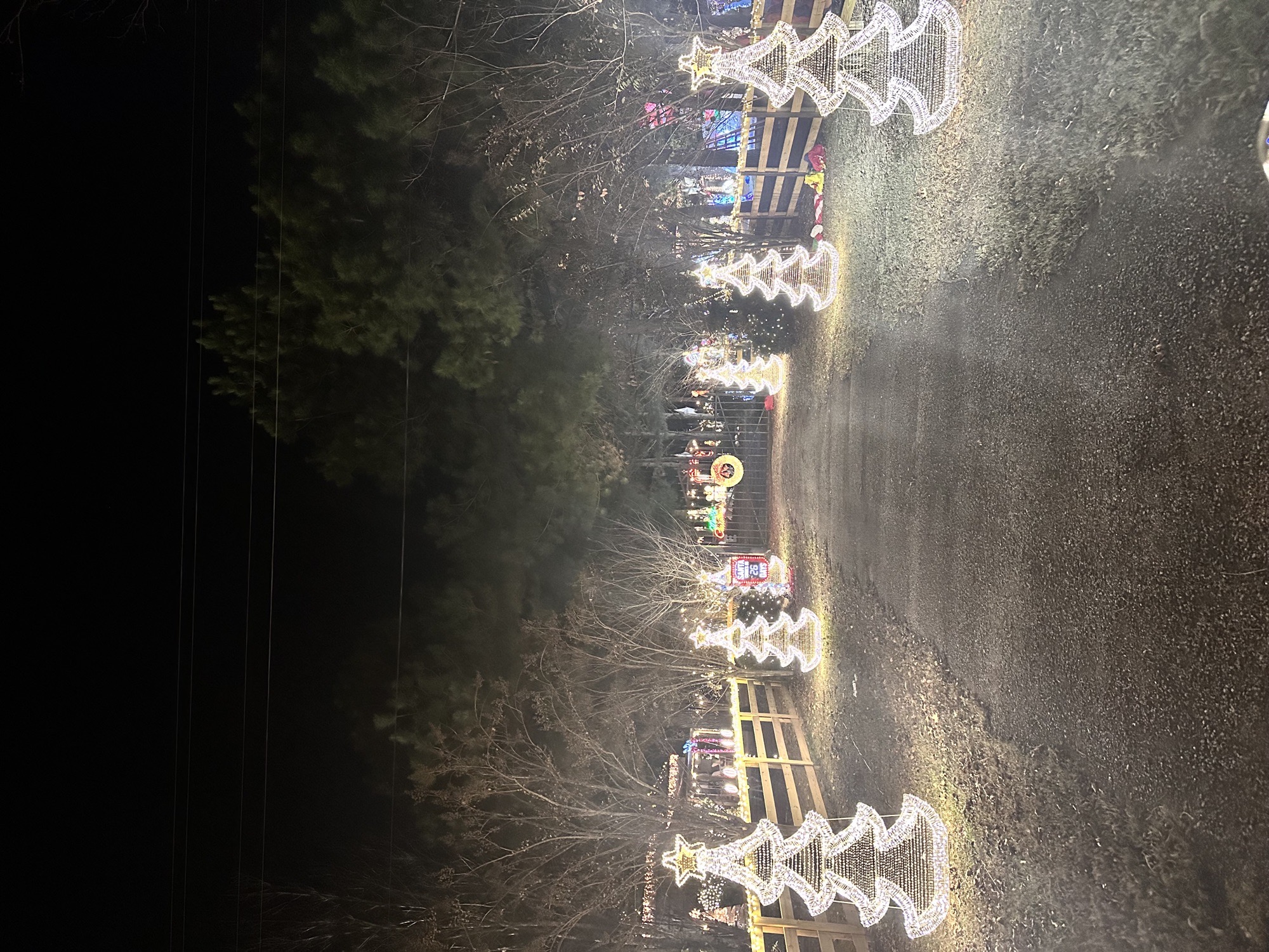 Silobrate lights, Christmas lights in Fort Valley, GA (photo 1)