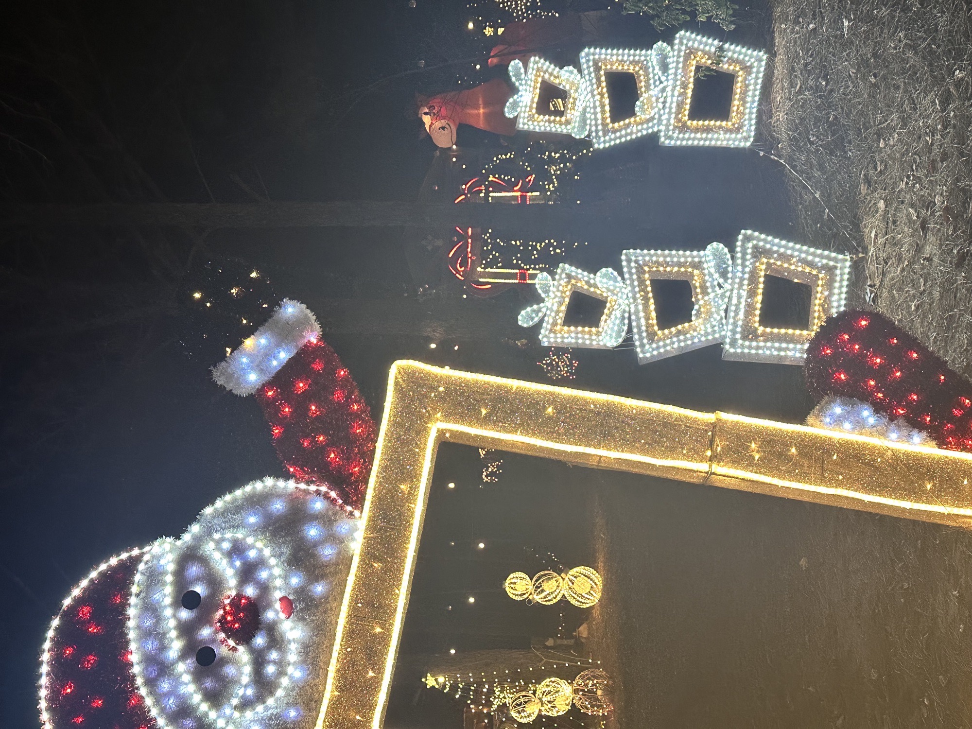 Silobrate lights, Christmas lights in Fort Valley, GA (photo 2)