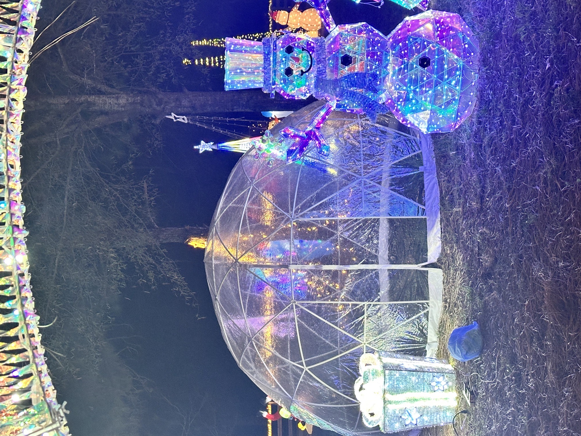 Silobrate lights, Christmas lights in Fort Valley, GA (photo 3)