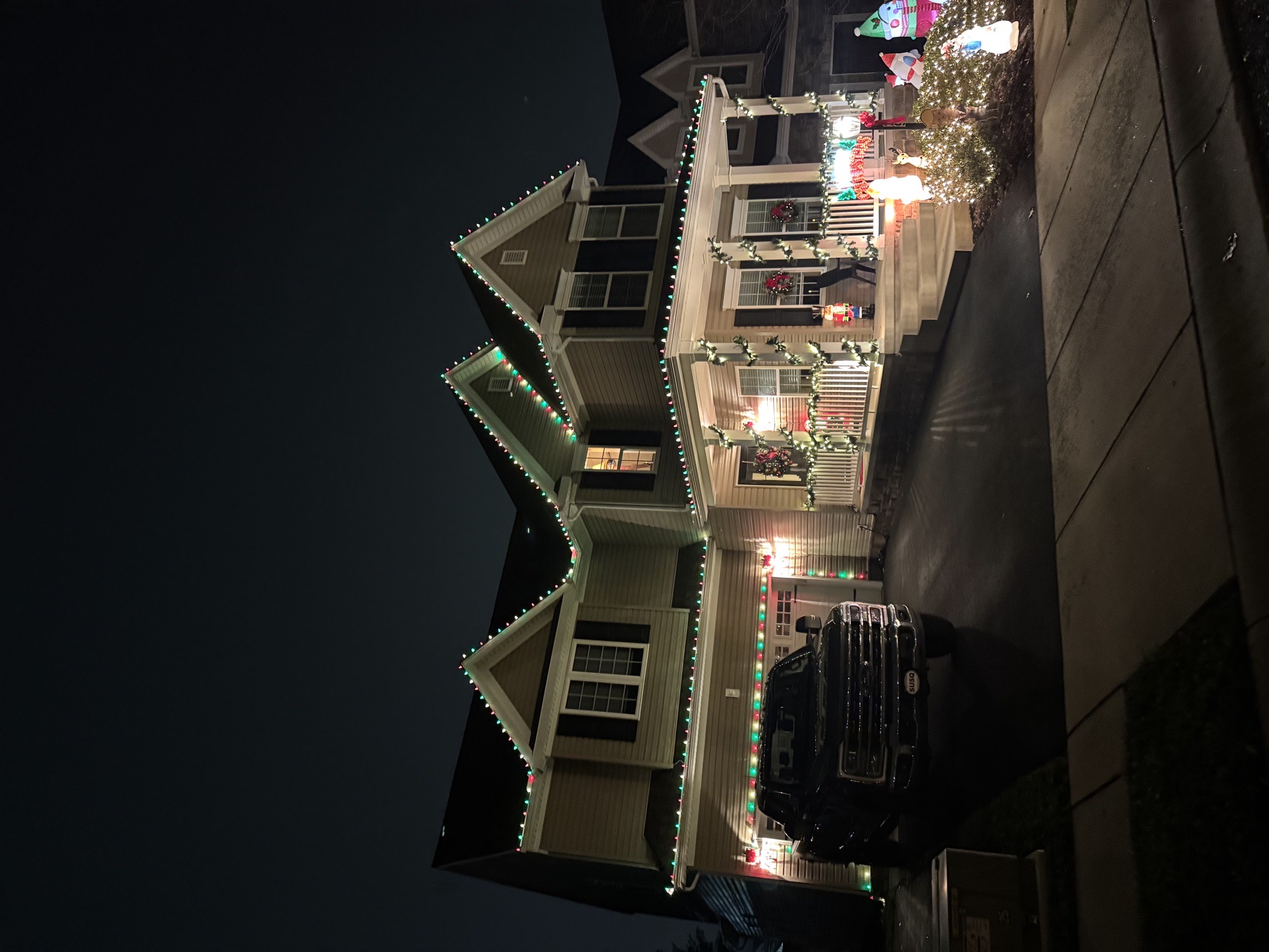 The Grinch, Christmas lights in Lancaster, PA (photo 1)