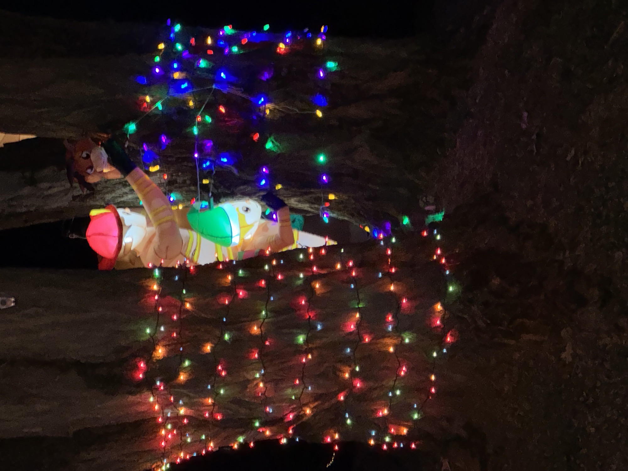 Mayapple Christmas!, Christmas lights in West Chester, PA (photo 4)