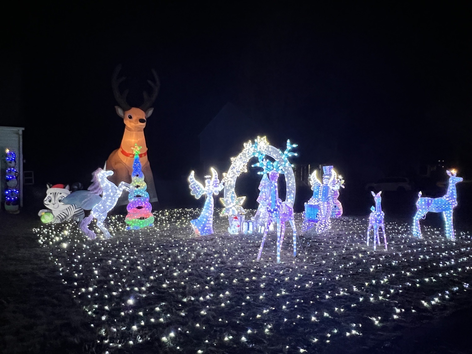 Christmas Staycation, Christmas lights in Midlothian, VA (photo 2)