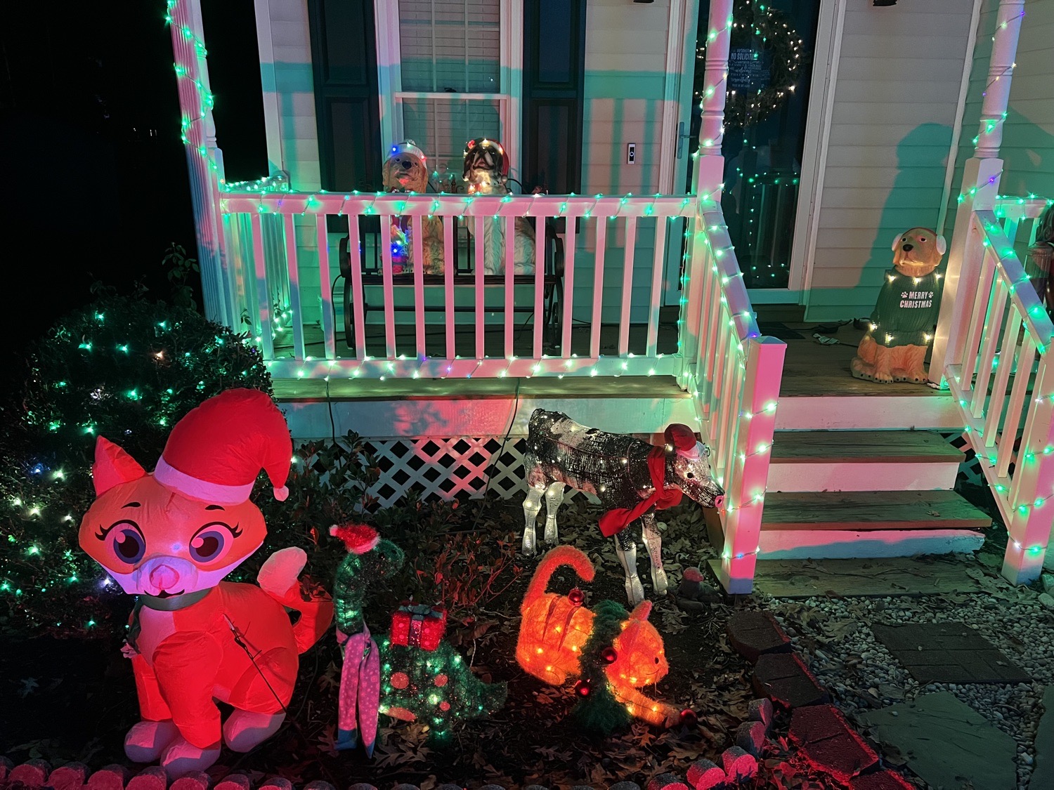 Christmas Staycation, Christmas lights in Midlothian, VA (photo 3)