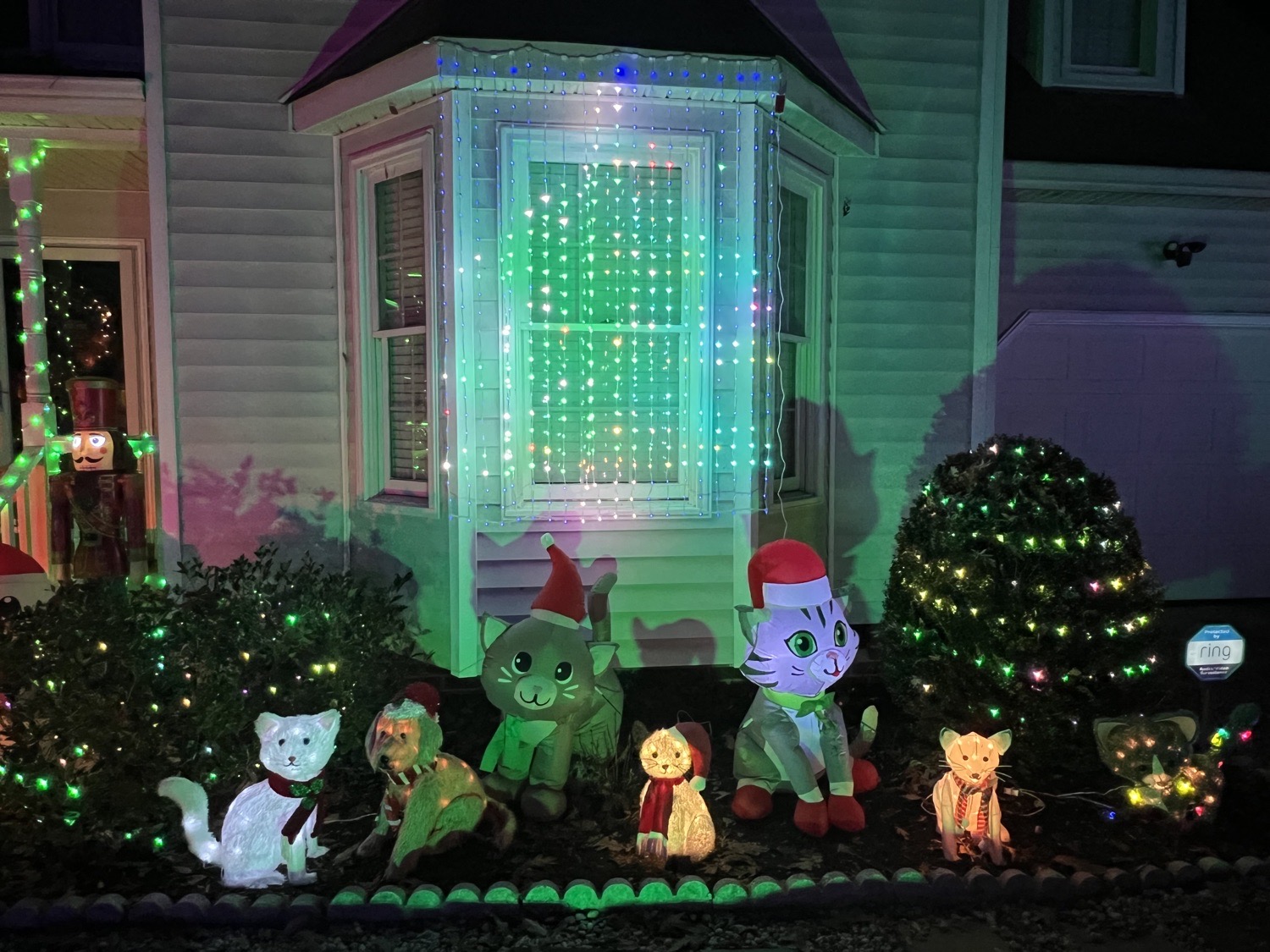 Christmas Staycation, Christmas lights in Midlothian, VA (photo 4)