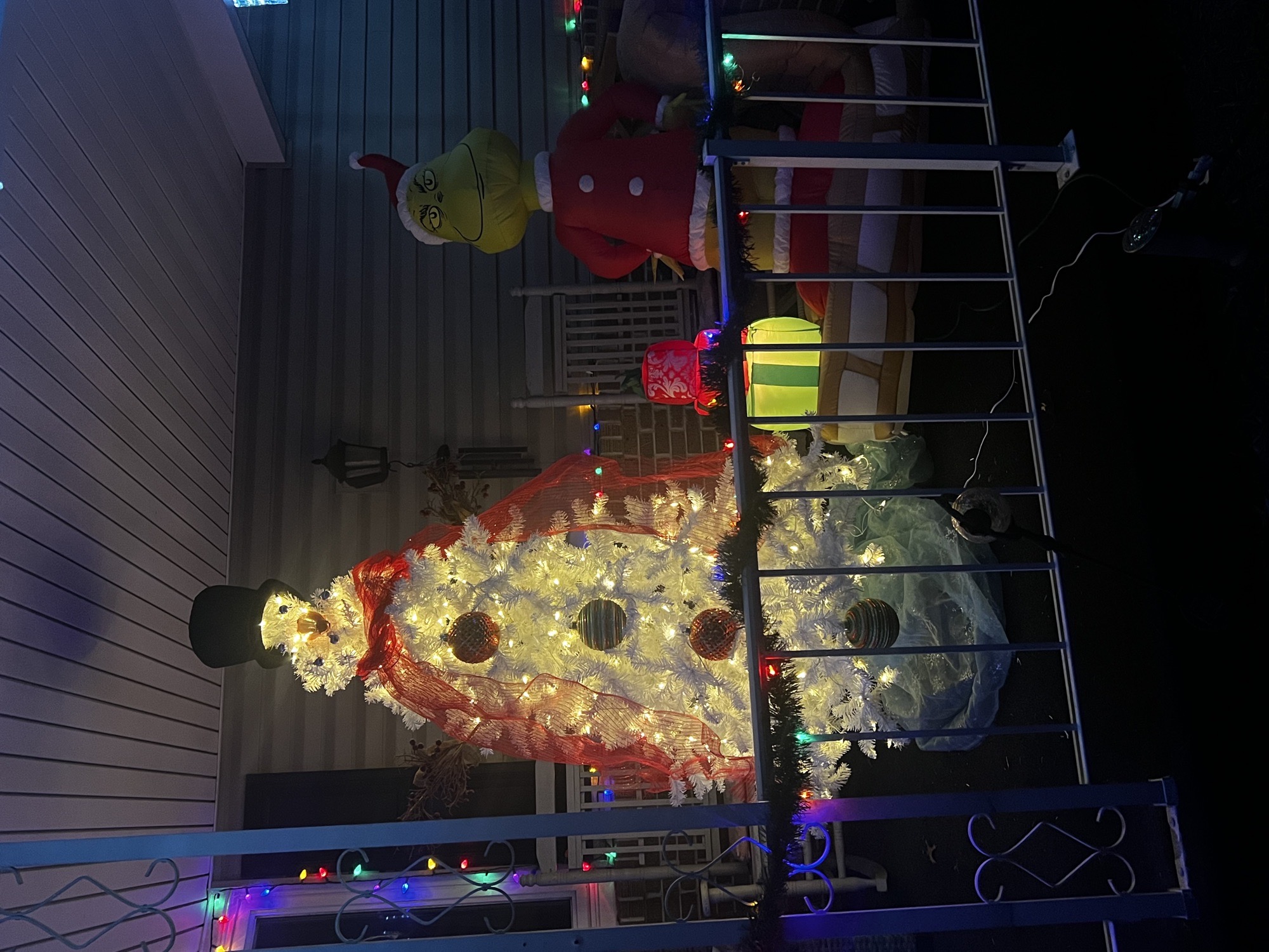 Holiday cheer, Christmas lights in Leesport, PA (photo 4)
