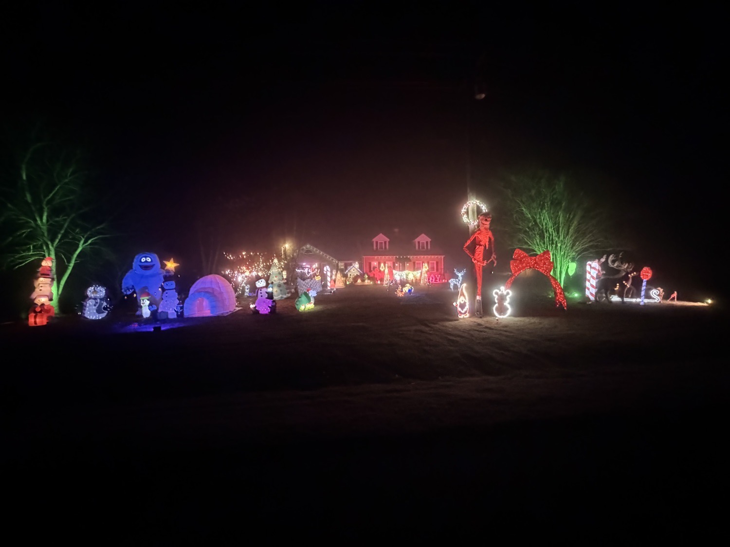 Gwynnfield lights, Christmas lights in Tappahannock, VA (photo 1)