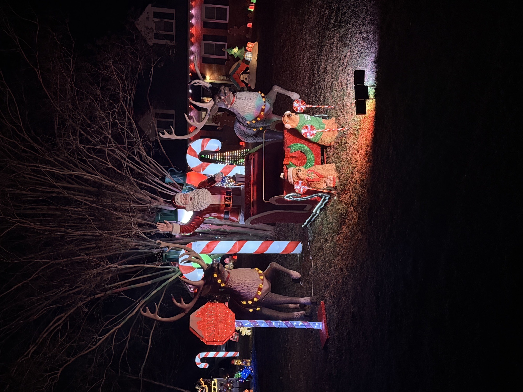 Gwynnfield lights, Christmas lights in Tappahannock, VA (photo 2)