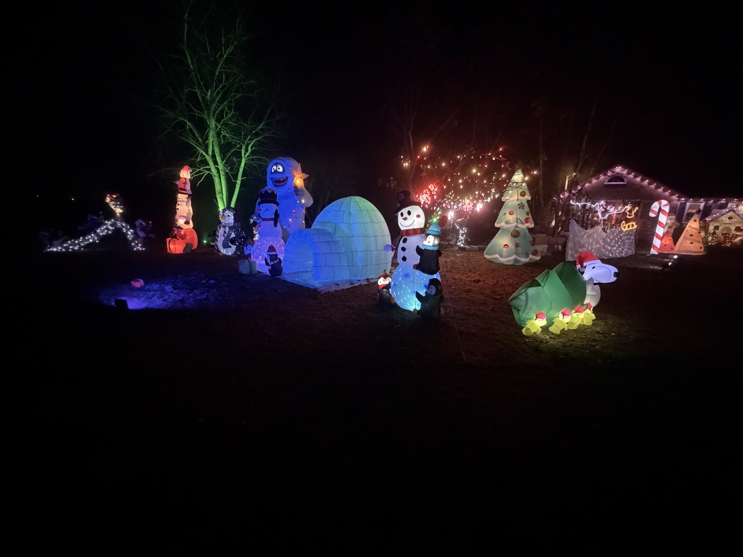 Gwynnfield lights, Christmas lights in Tappahannock, VA (photo 3)