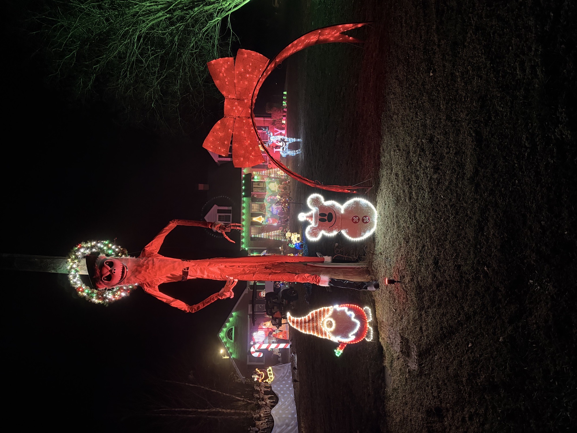 Gwynnfield lights, Christmas lights in Tappahannock, VA (photo 4)