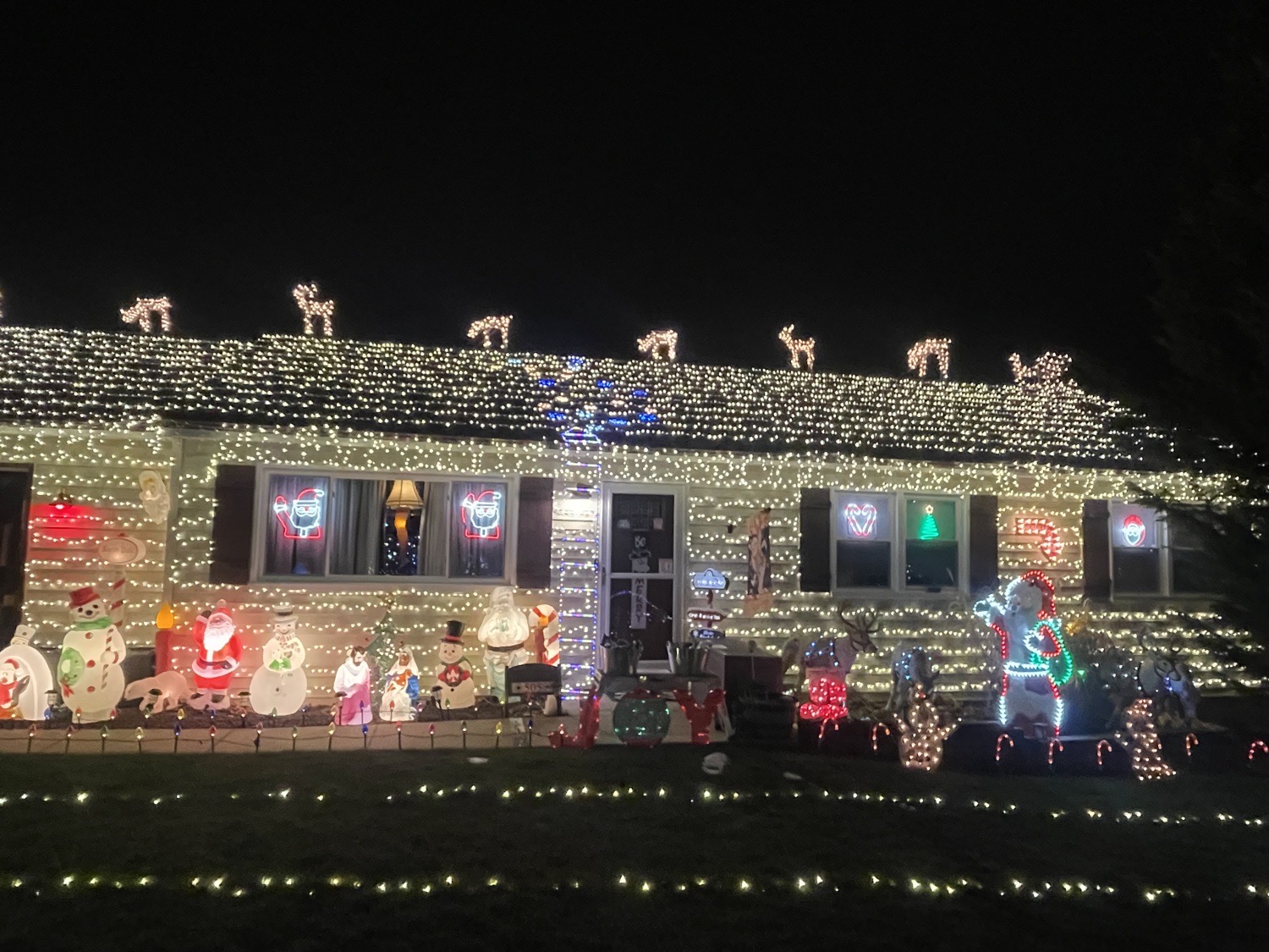 Lights On Albert, Christmas lights in Reading, PA (photo 2)