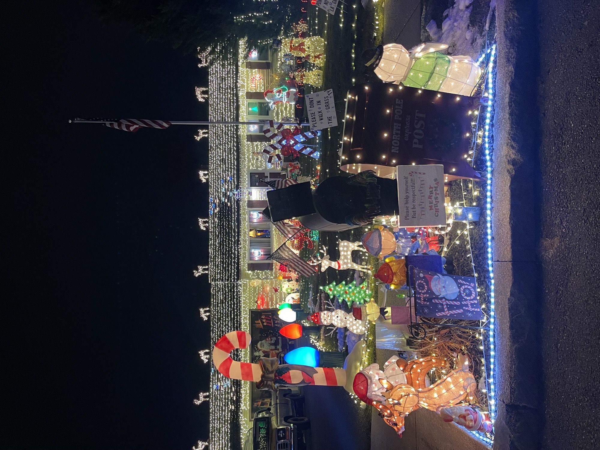 Lights On Albert, Christmas lights in Reading, PA (photo 3)