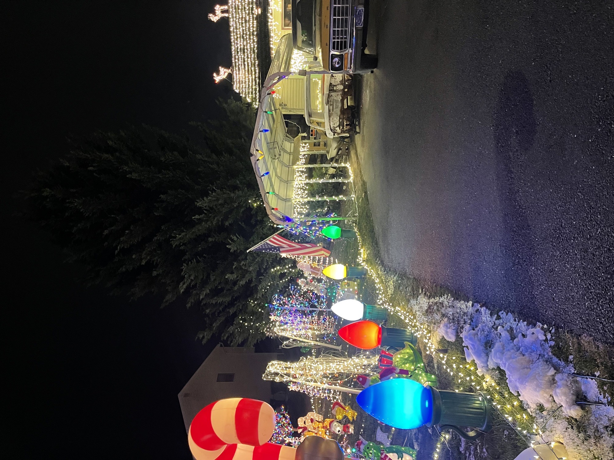 Lights On Albert, Christmas lights in Reading, PA (photo 4)