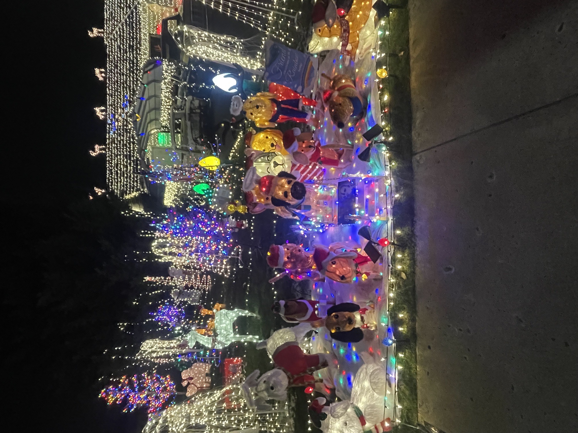 Lights On Albert, Christmas lights in Reading, PA (photo 5)