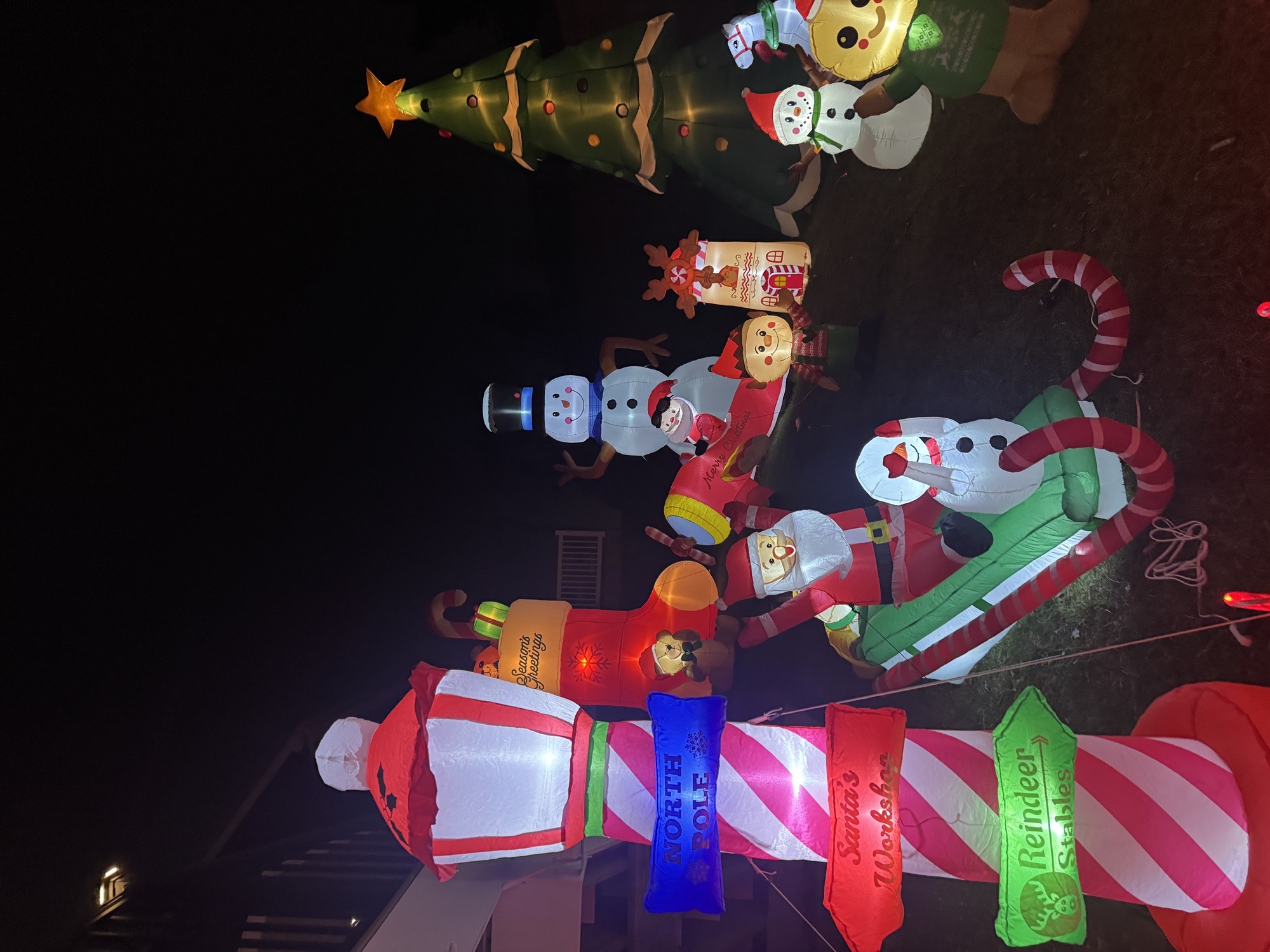 The Grinch, Christmas lights in Lancaster, PA (photo 4)
