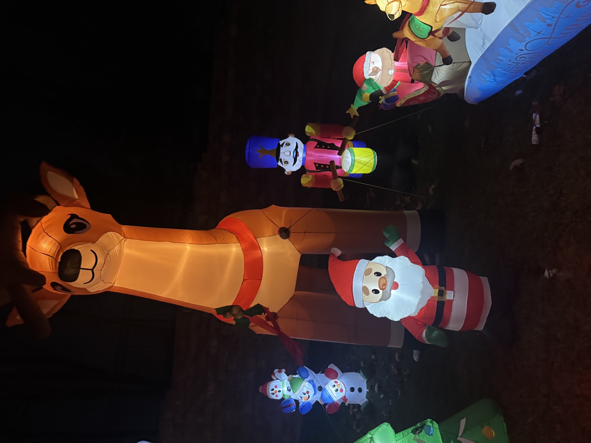 The Grinch, Christmas lights in Lancaster, PA (photo 5)