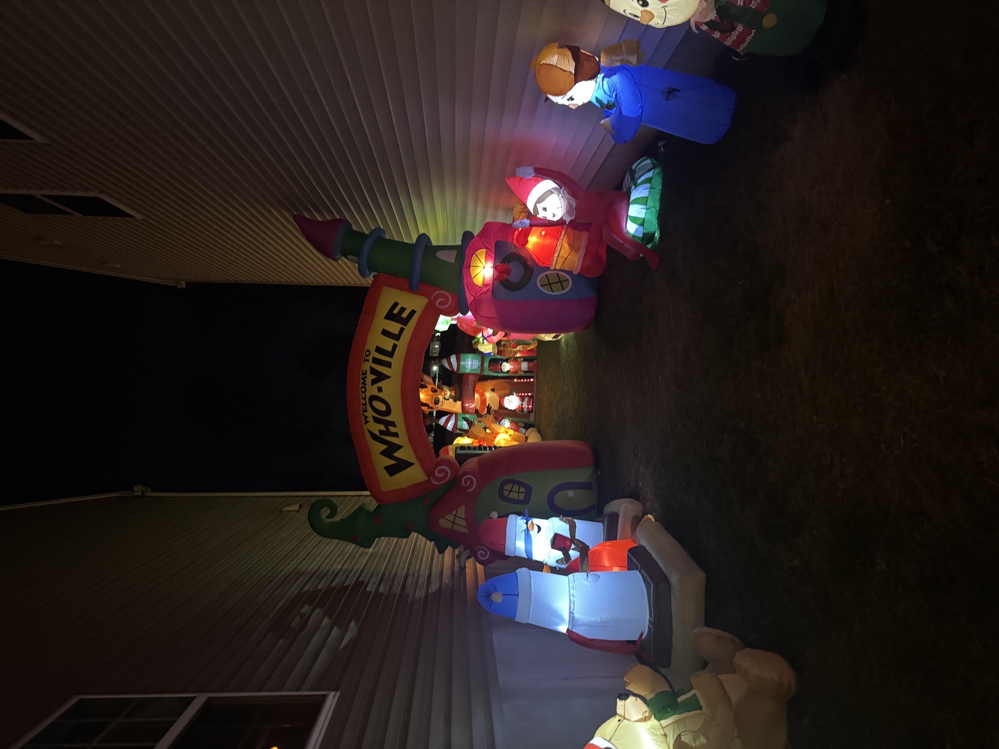 The Grinch, Christmas lights in Lancaster, PA (photo 2)