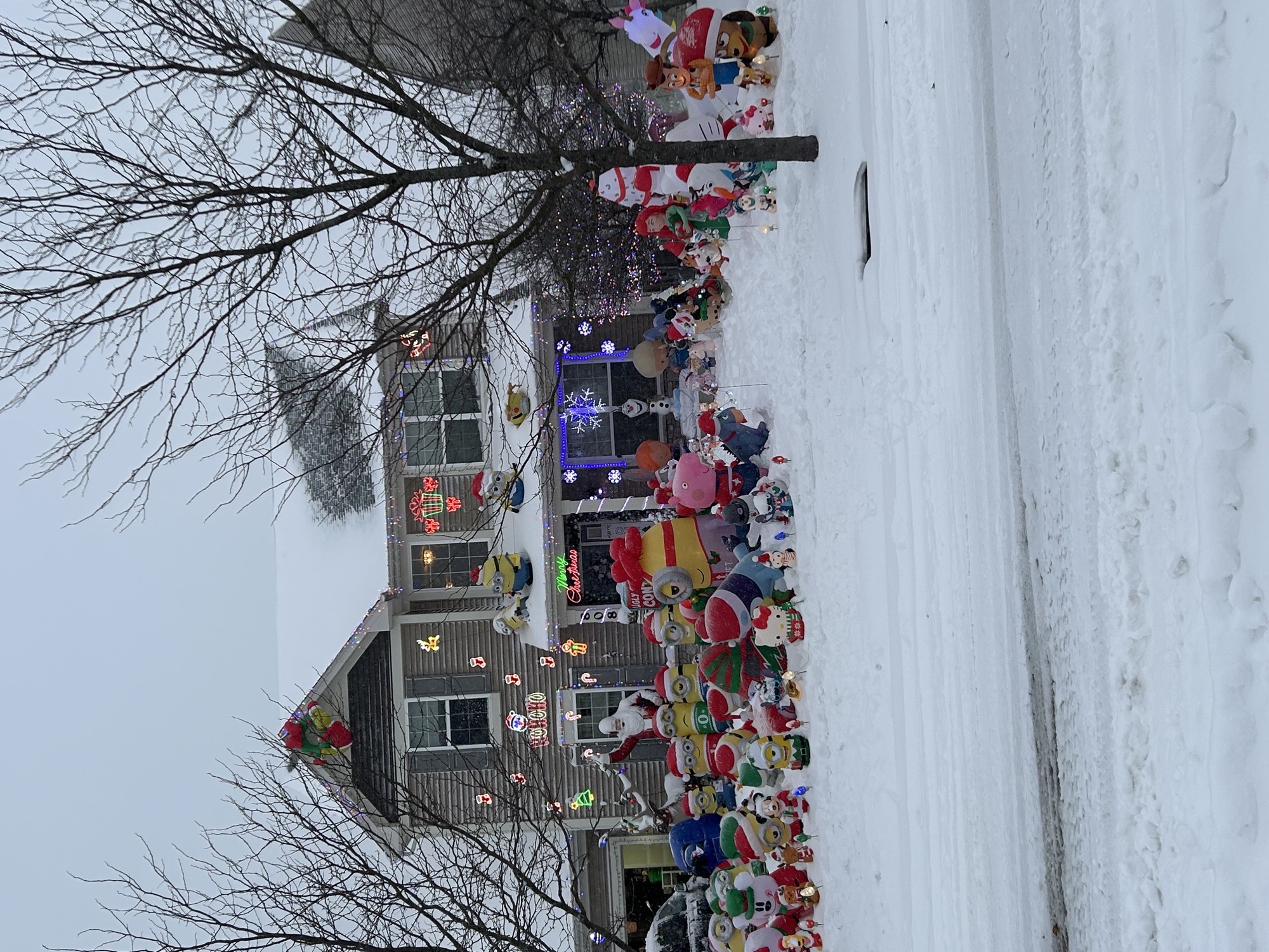 Fun Inflatable House, Christmas lights in Joliet, IL (photo 2)