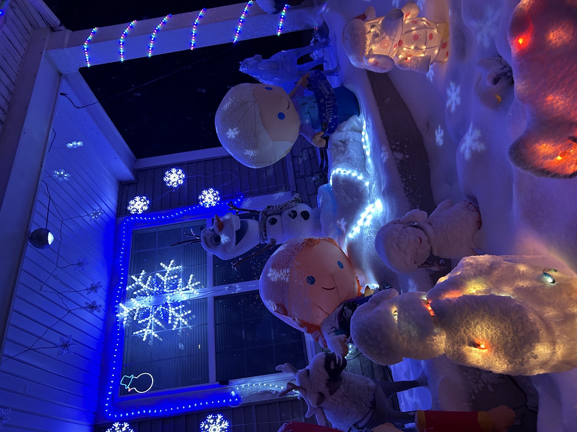 Fun Inflatable House, Christmas lights in Joliet, IL (photo 3)