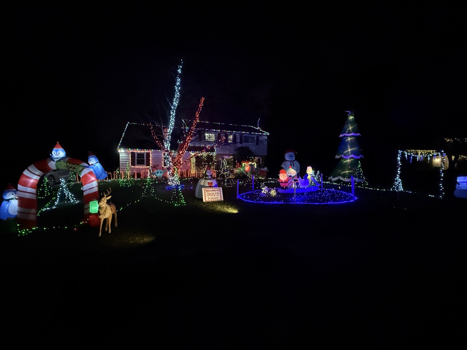 North Pole Forest, Christmas lights in Wallingford, PA (photo 1)
