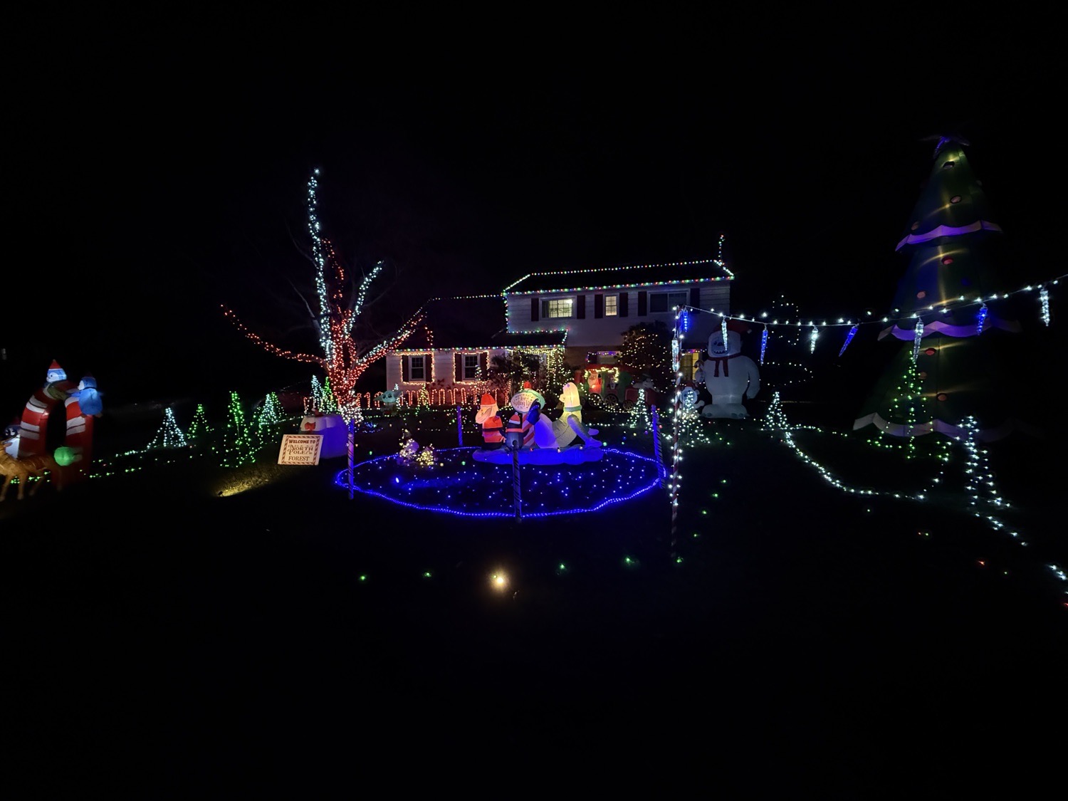 North Pole Forest, Christmas lights in Wallingford, PA (photo 2)