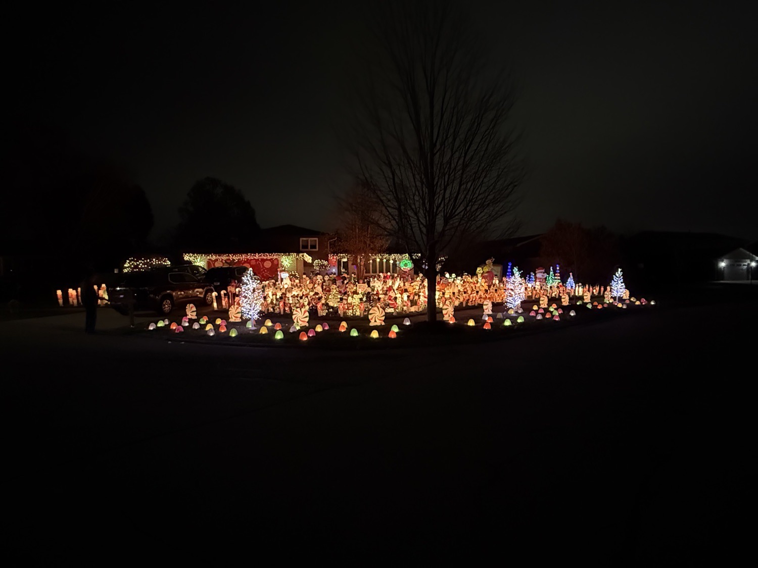 Quinn House, Christmas lights in Orland Park, IL (photo 1)
