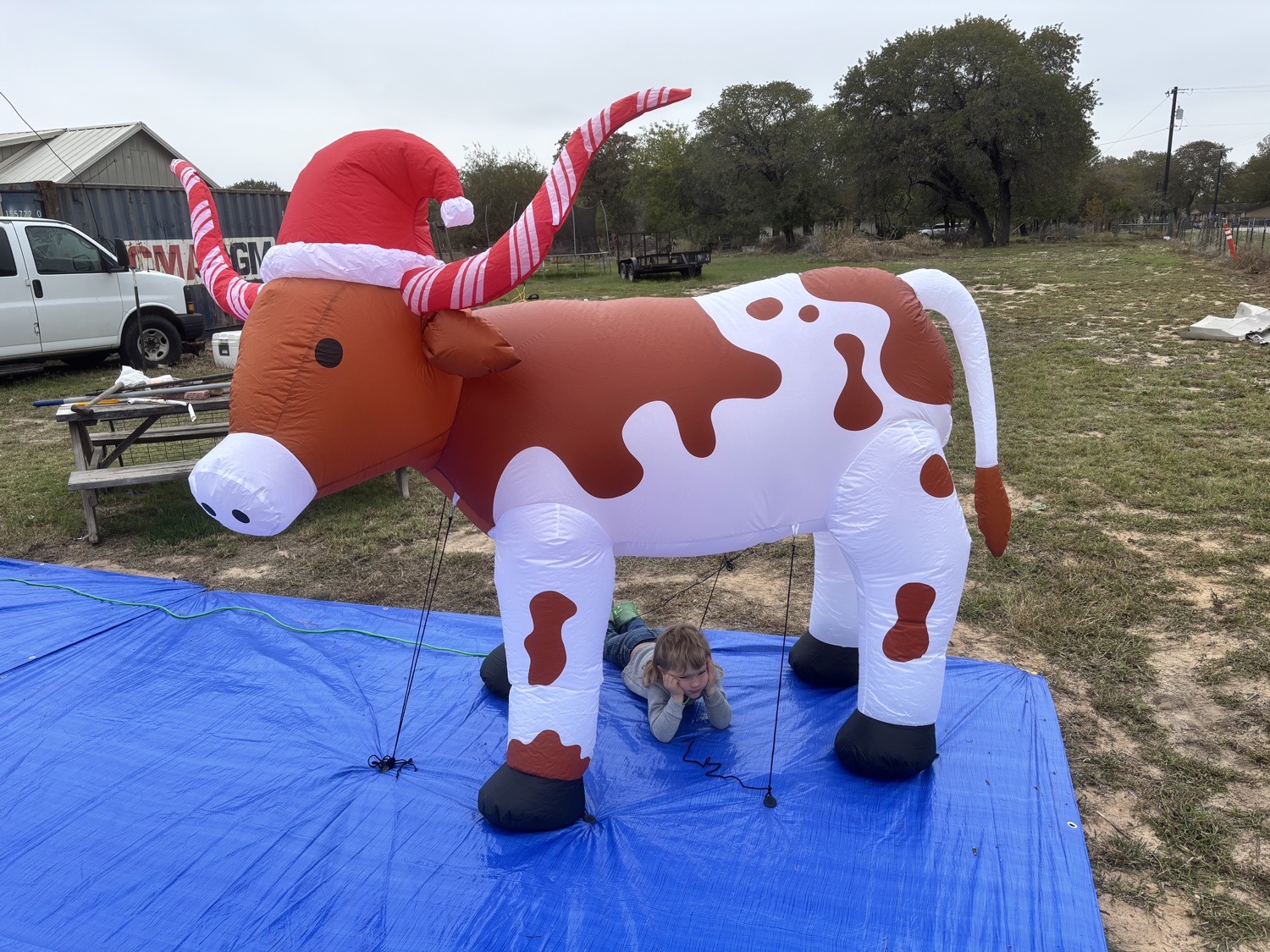 Williams, Christmas lights in Floresville, TX (photo 1)
