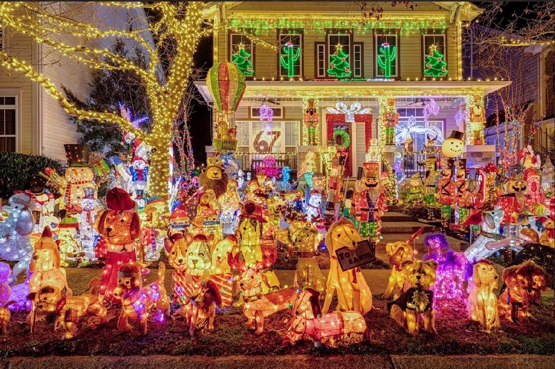 Blue Copper Lights, Christmas lights in Brambleton, VA (photo 3)