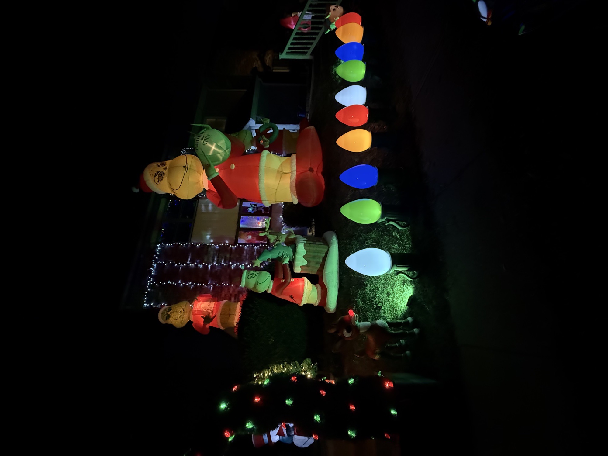 Misfit Grinchmas, Christmas lights in Bensalem, PA (photo 1)