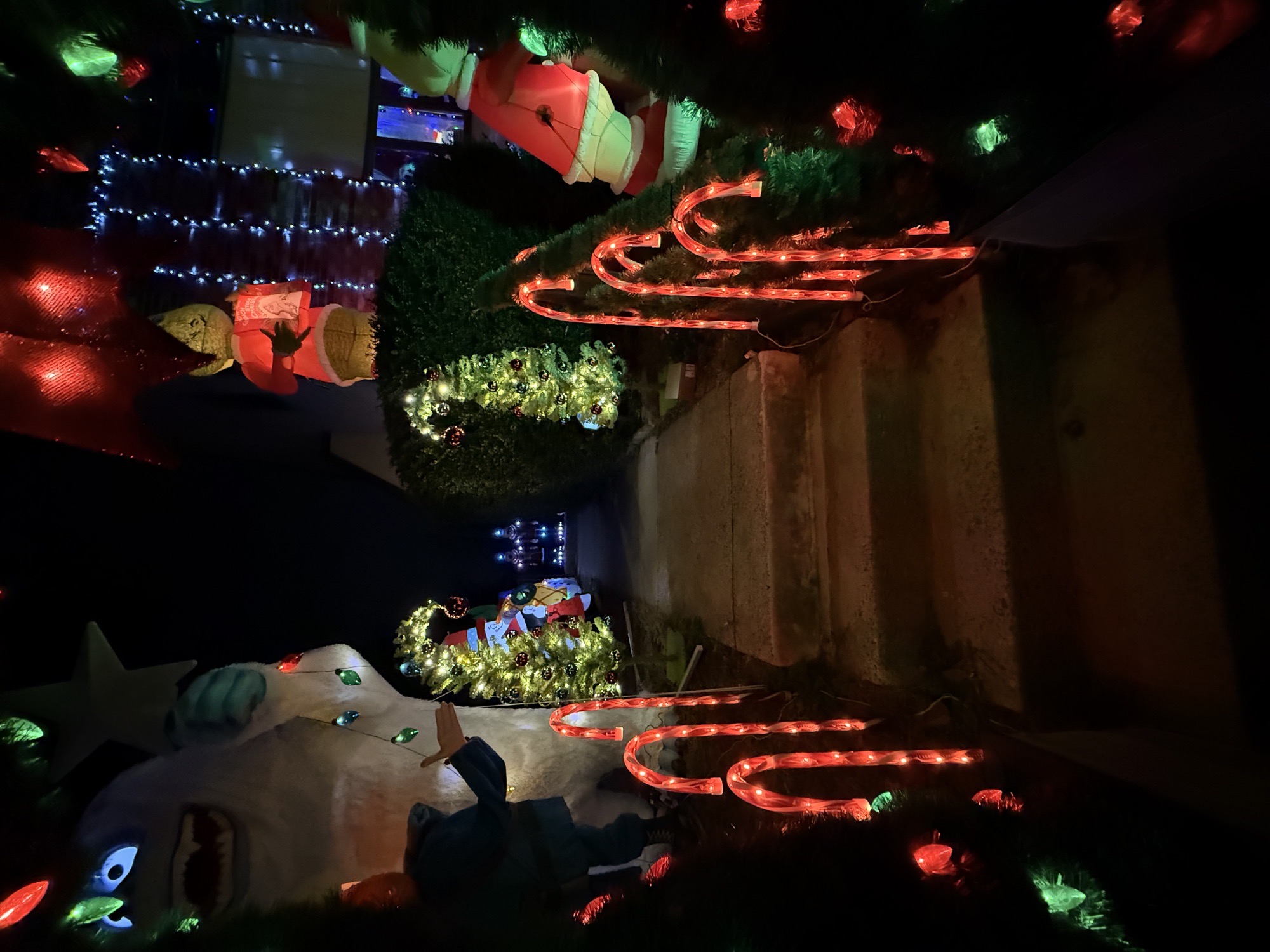 Misfit Grinchmas, Christmas lights in Bensalem, PA (photo 3)