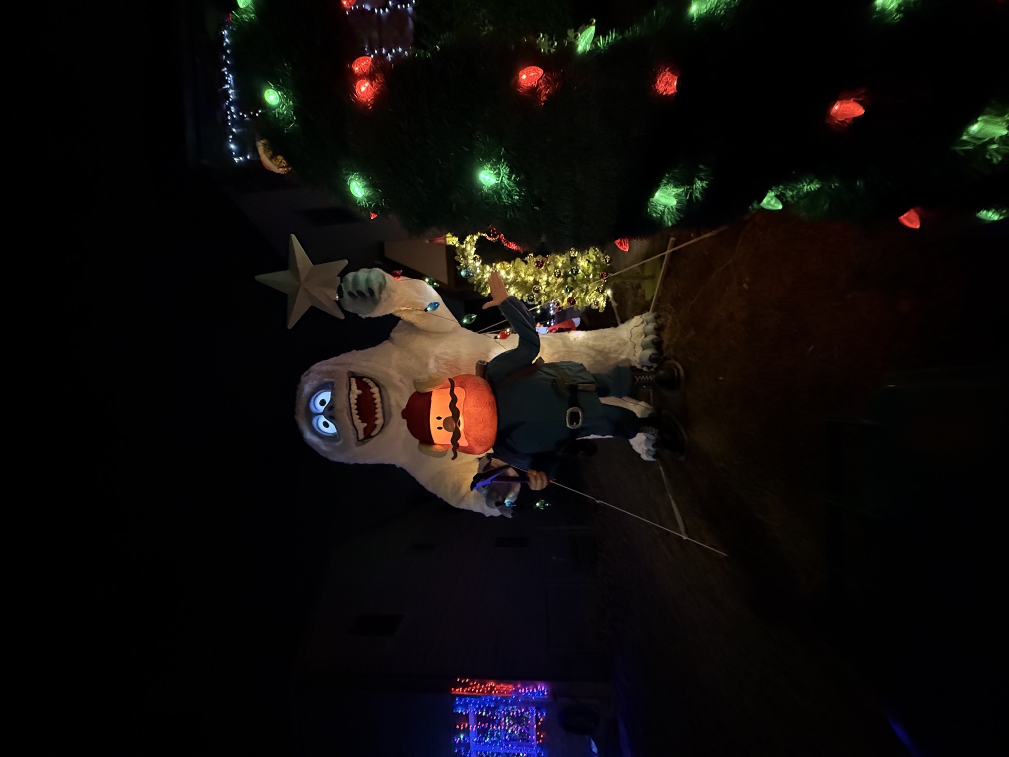 Misfit Grinchmas, Christmas lights in Bensalem, PA (photo 4)