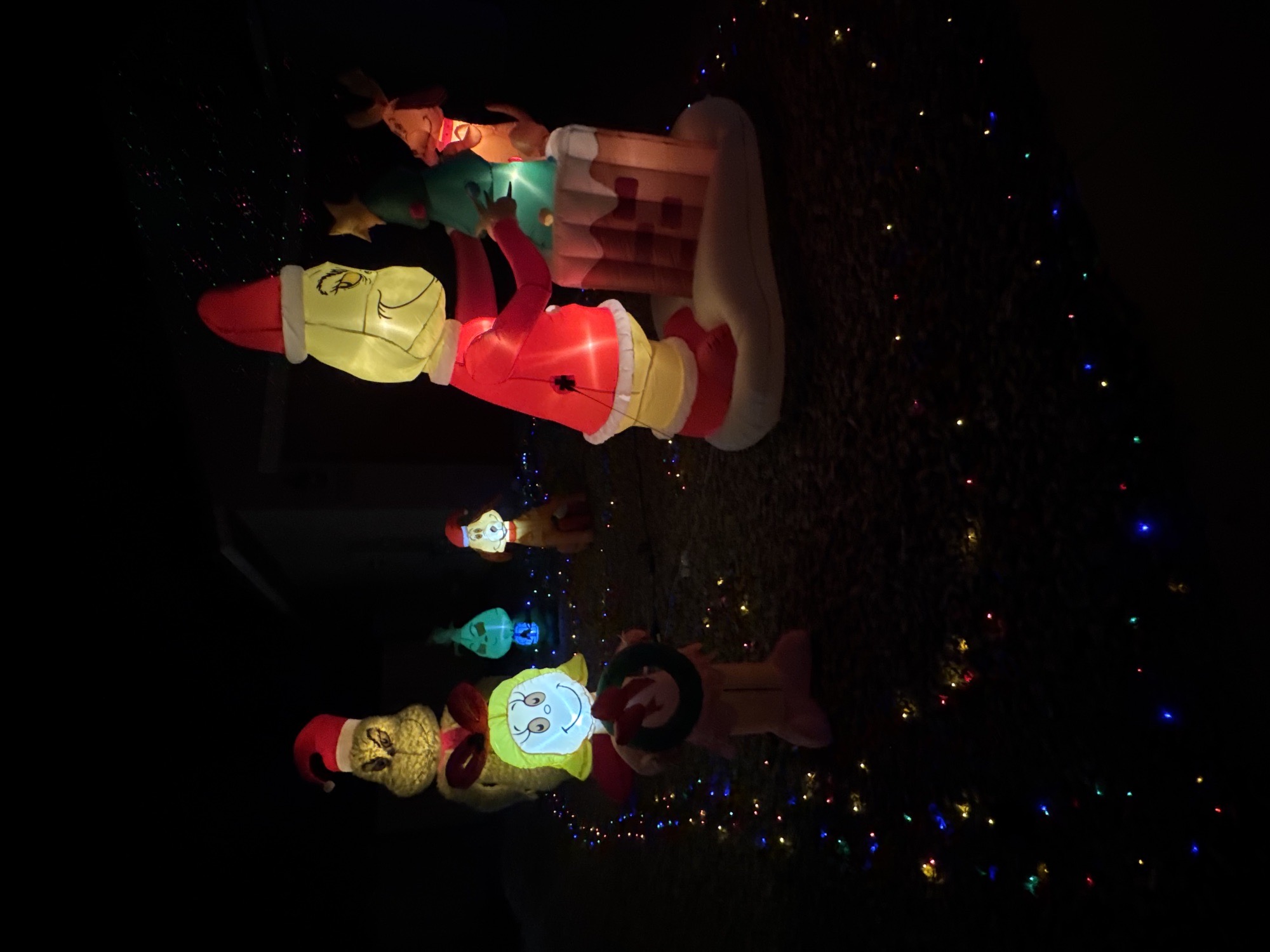The Grinch House π, Christmas lights in Casa Grande, AZ (photo 3)
